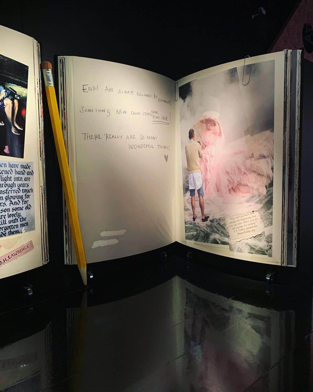 のインスタグラム：「Tim Walker『Wonderful Things』とっても楽しみにしていたエキシビジョン。 若かりし頃、初めて観た時から大好きなTim Walker。ファンタジックで、想像もした事のない世界観を創造し、インスピレーションを与えてくれる。  これまでの作品はもちろん、撮影動画やインスタレーションなど、贅沢な演出。 ロマンティックな幻想の中に、ダークな側面を持ち、それが人を惹きつける魅力なのかな。 何度も行ったり来たりしながらTim Walkerワールドに、どっぷり浸ってきました。 もう1度行きたいな  #TimWalker #wonderfulthings」