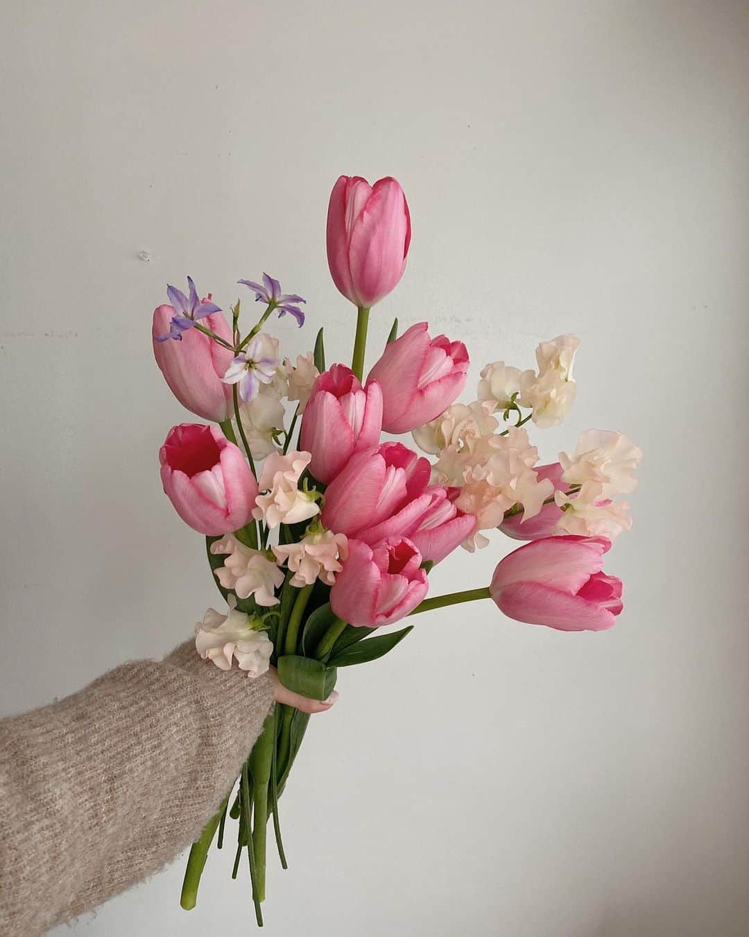 目見田早弥子さんのインスタグラム写真 - (目見田早弥子Instagram)「| 🌷🤍 今日の @marronpapier_jp のレッスンは チューリップとスイートピーの春らしいブーケ。 blink(@blink_hair)のお花を毎週飾っているのですが 少ない本数で組むのって本当に難しくて😭！ 今日のレッスンもいつものブーケに比べると 本数がかなり少なくて１本１本の花の動きが すごく重要だったので難しかったです。 私は２回くらい組み直して先生にバランスを見てもらって 手直ししてもらって写真のようなブーケになりました◯ チューリップはすぐに咲いてくるのは知ってたけど 寒いところに置いておくとまた閉じてくるらしく！ 玄関に置いておいたら本当に閉じててビックリしました👏🏻」1月26日 22時26分 - sayako_memida