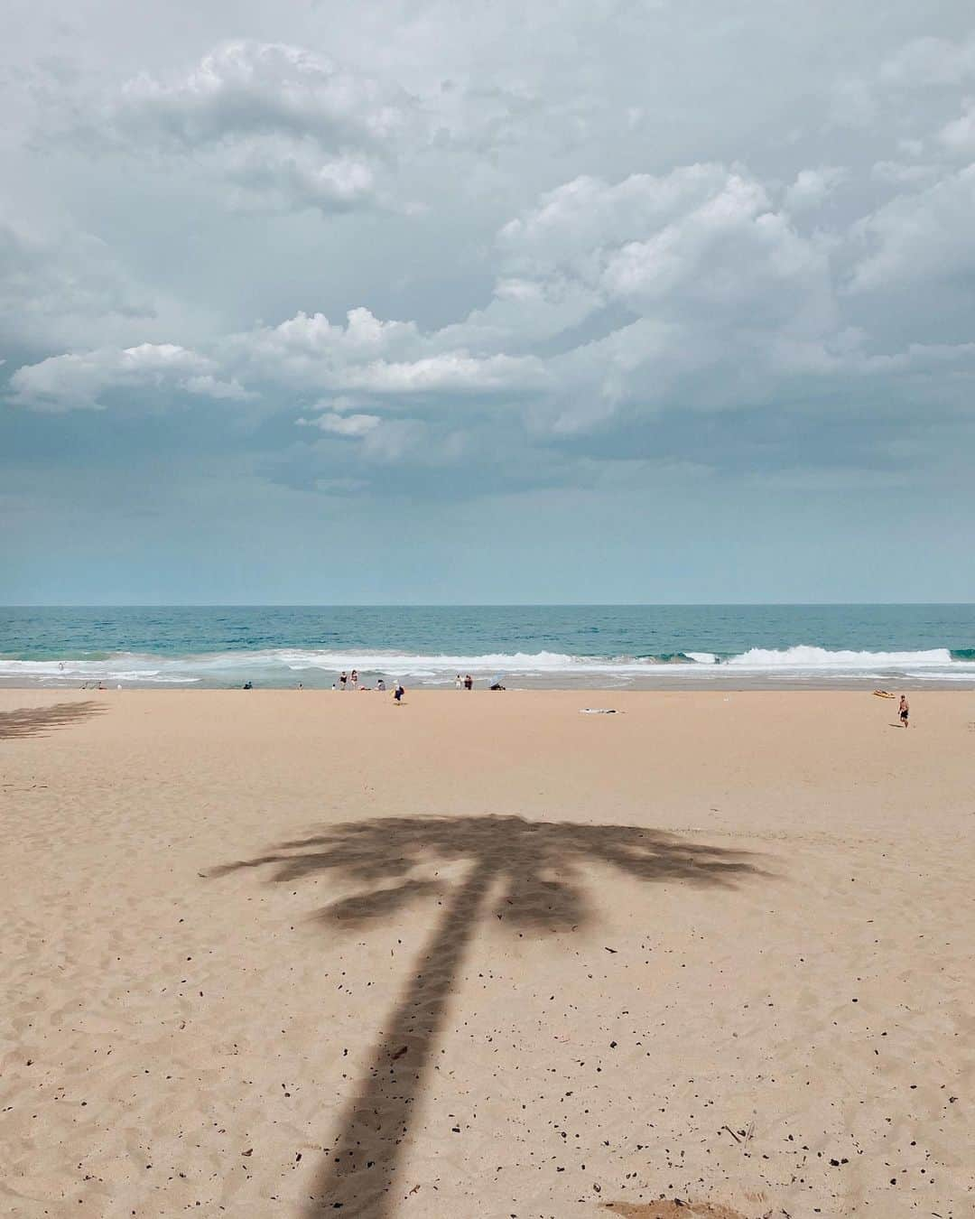 山中美智子さんのインスタグラム写真 - (山中美智子Instagram)「Whale Beach 🌴  この辺りの砂はオレンジっぽい色🍊  ここも海水プールがあるよ♡  オーストラリアはあんまりパームツリーを見ないからビーチに影があるのはレアかもしれない🌴」1月26日 22時46分 - alexiastam1988