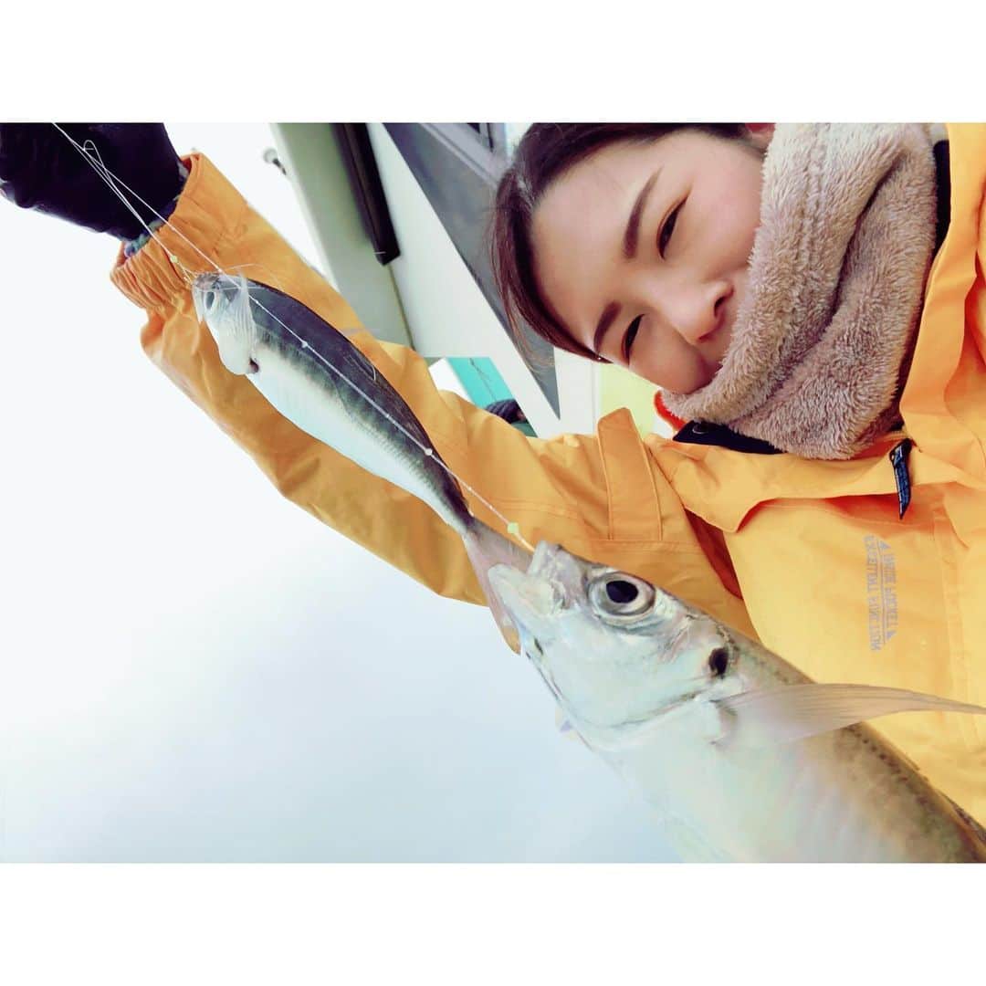 福咲れんのインスタグラム：「久しぶりのアジ〜🎣 入れ食い！楽しかった♪  アジ×40 イシモチ×1 カサゴ×1  #釣り #釣りガール #fishing #アジ #鯵 #カサゴ #イシモチ #サビキ釣り #東京湾」