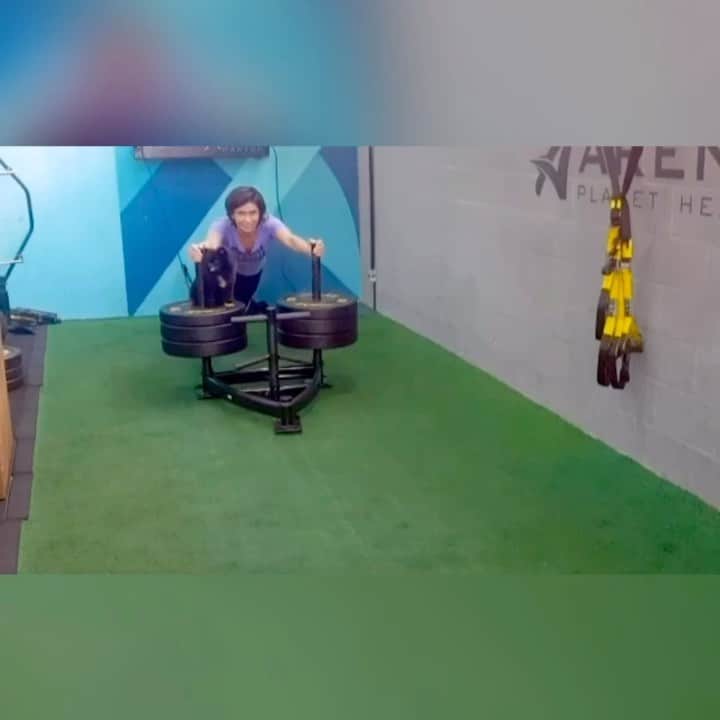 Giovanna Antonelliのインスタグラム：「He He He! Um 'pedacin' do treino com participação especial!!! 🐕  Né? @planethealth ? #sorte」