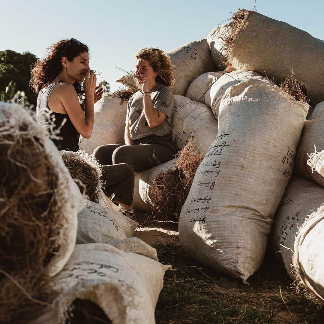 Jo Malone Londonさんのインスタグラム写真 - (Jo Malone LondonInstagram)「Our Global Head of Fragrance Celine Roux and master perfumer Mathilde Bijaoui captured among the vetiver fields in Madagascar. #CologneIntense」1月27日 2時30分 - jomalonelondon