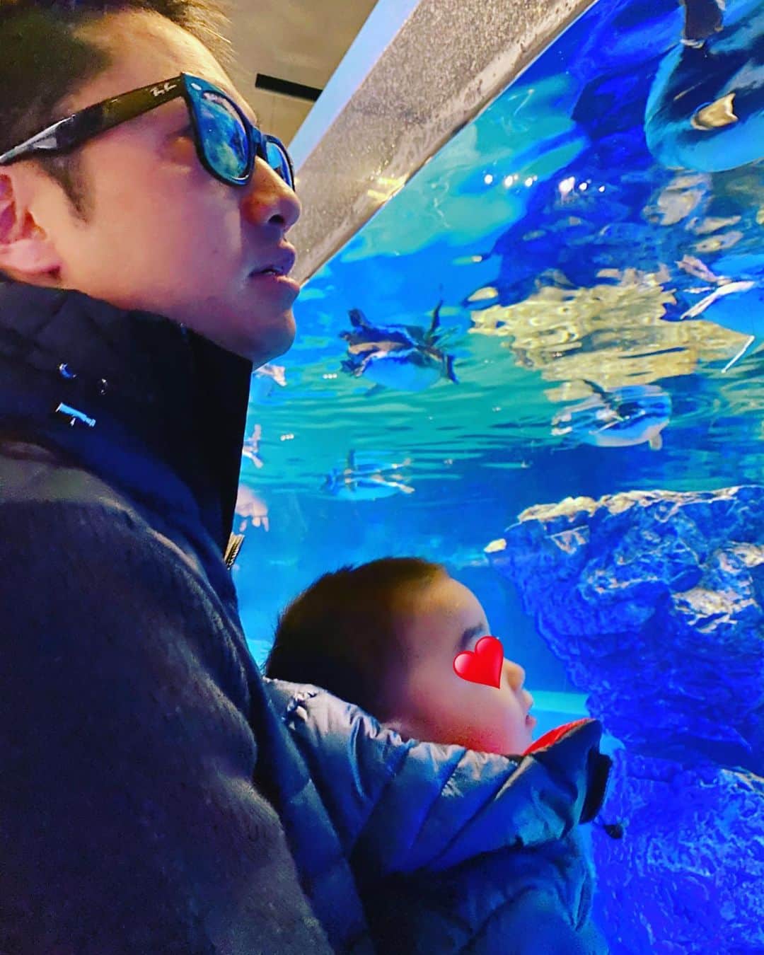 保田圭さんのインスタグラム写真 - (保田圭Instagram)「昨日は家族で水族館へ♡家族で過ごす時間を大切にしてるくれる主人に感謝。 #すみだ水族館 #どの魚を見てもサバという息子 #年パス買ったからまた行こうね」1月27日 14時28分 - keiyasuda1206