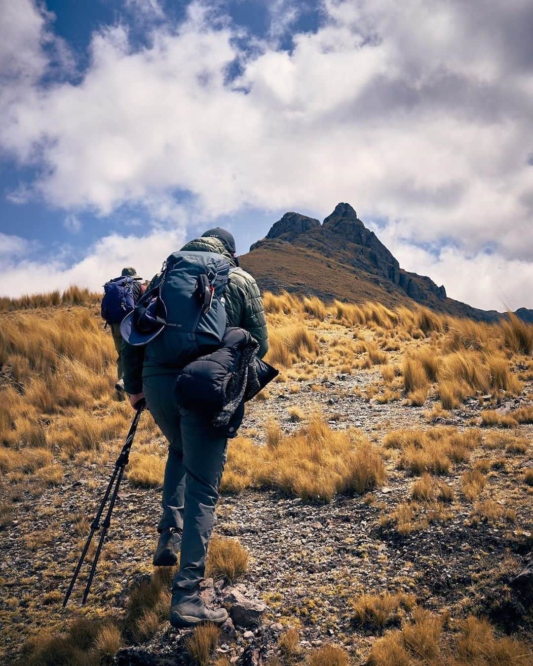REIさんのインスタグラム写真 - (REIInstagram)「There a few ways to get to Machu Picchu, but one of our favorites is our trek through the lesser known Lares region. #TravelWithREI  Photo: @coelder1 in #Peru.」1月27日 6時01分 - rei