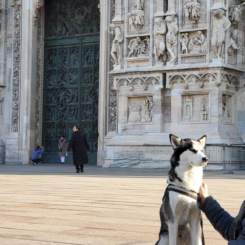 neokazumiさんのインスタグラム写真 - (neokazumiInstagram)「﻿ イタリアに来ています﻿ ﻿ 2枚めのどこかに﻿ ﻿ みちちゃん居ます🇮🇹﻿ ﻿ 関空離婚にならないようにします﻿ ﻿ #イタリア旅行#ドゥオモ#ドゥオモがとにかく凄い#卒業旅行#神3」1月27日 6時21分 - neokazumi