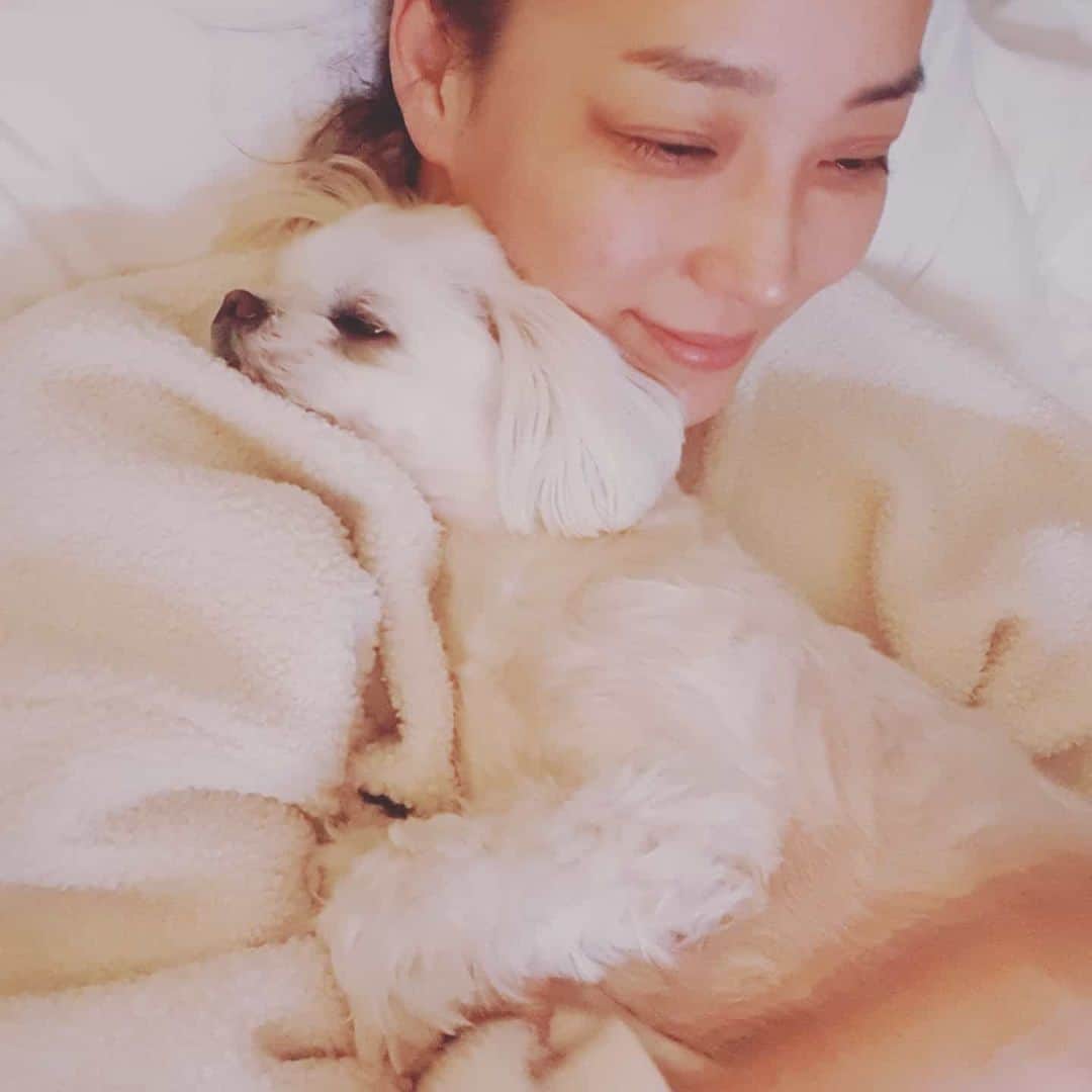 ハン・ゴウンのインスタグラム：「모두모두 포근하고 따스한 설연휴 보내시길 바래요~~ 새해복 담뿍 받으세요~♡」