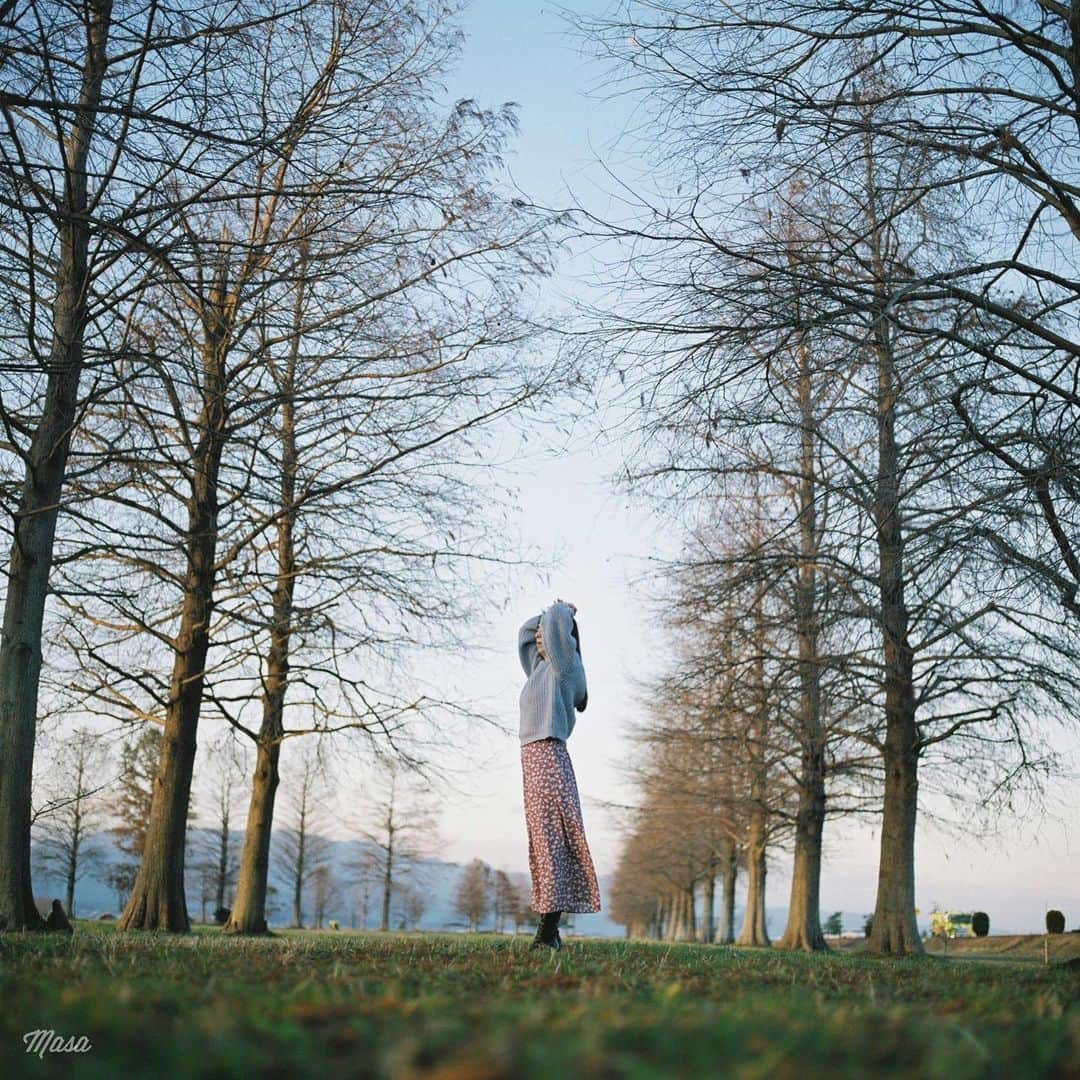 のインスタグラム：「. . . 結局、週末は雨とは無縁でした😌 ほんと一週間前の予報なんて全くあてにならない😅 今週末はいい天気っぽいのでそのまま希望🙃 . でも全く予定ないので、誰か行きましょ📷 . . 撮影日 : 2020年1月11日 . #まっセル #ヤマプリ #hasselblad #ハッセルブラッド #instagramjapan #igersjp #tokyocameraclub #art_of_japan_ #photogenic_jp #GPW_members_only #good_portraits_world #film_jp #film #フィルム #picsfilm2 #filmcamera #filmphotography #portrait #ポートレート #photogram_archive #todays_blue_collection #pof_ig #hibi_jp #team_jp_ #滋賀 #メタセコイア #まさ_セコ」