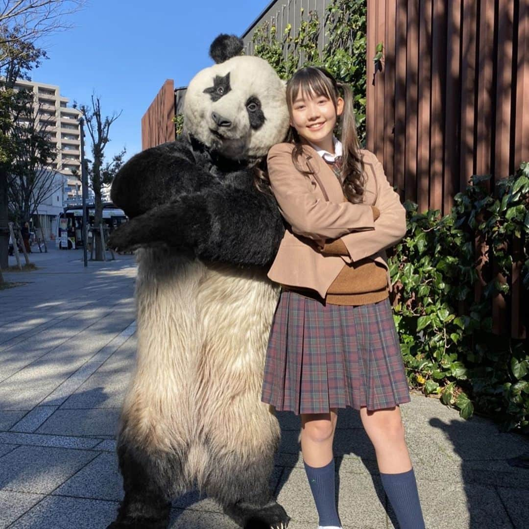 ZIP!さんのインスタグラム写真 - (ZIP!Instagram)「🐼✨ ちょい悪でマイペースなパンダ #星星 (セイセイ)の新コーナー「 #星星のベラベラENGLISH 」が来週2月3日(月)からスタート‼️‬ . ‪仲良しの #レイア と一緒に、簡単ですぐ使いたくなる英語のフレーズを教えます🌟‬ ‪🌈2020年、これであなたもベラベラENGLISH⁉️‬ . 星星はInstagram更新中✨ ぜひご覧ください🐼💓 🌟星星Instagram @seisei_panda . レイアはデビュー会見した @821honey_officialのメンバーです🎉✨ #ZIP!」1月27日 7時39分 - ntvzip