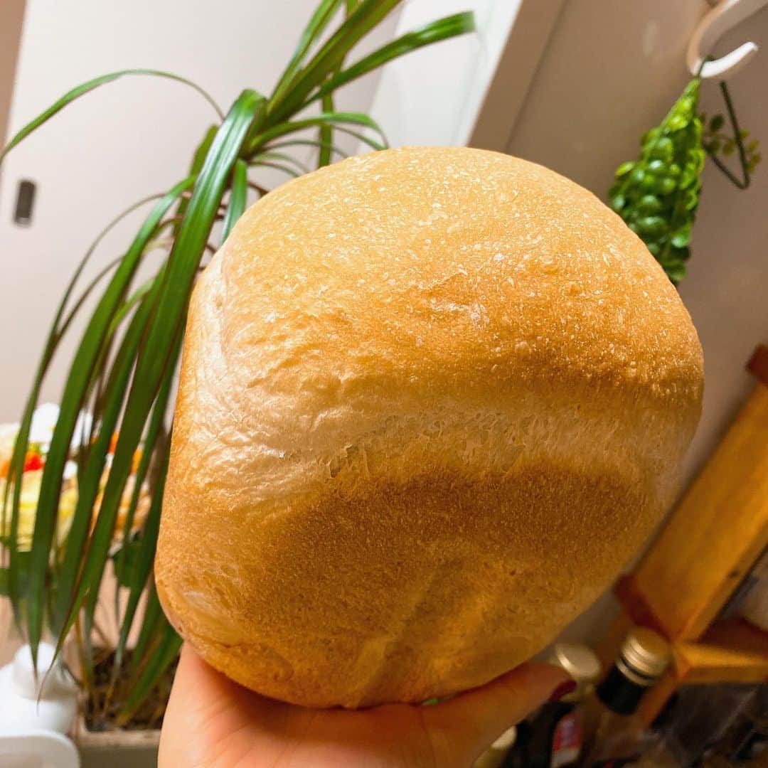 池田夢見さんのインスタグラム写真 - (池田夢見Instagram)「おはよう　世界🌎✨ 朝起きてすぐの 焼き立てパンの香りは最高です😋🤲 家で食パンを作るようにしてから 市販の食パンをなかなか買えなくなってしまった😹  シンプルやけど ハンドメイド食パンは最高です☺️ さぁ今日も一日 小さな幸せたくさん見つけて 楽しんでいきましょー！  天気があまり良くないけど、、 そんな日こそ 小さな感動を作りながらテンションを上げていくのです🤩  パンラブ❤️ #handmade #pan #bread #mama  #手作り」1月27日 7時53分 - ikedayumemi