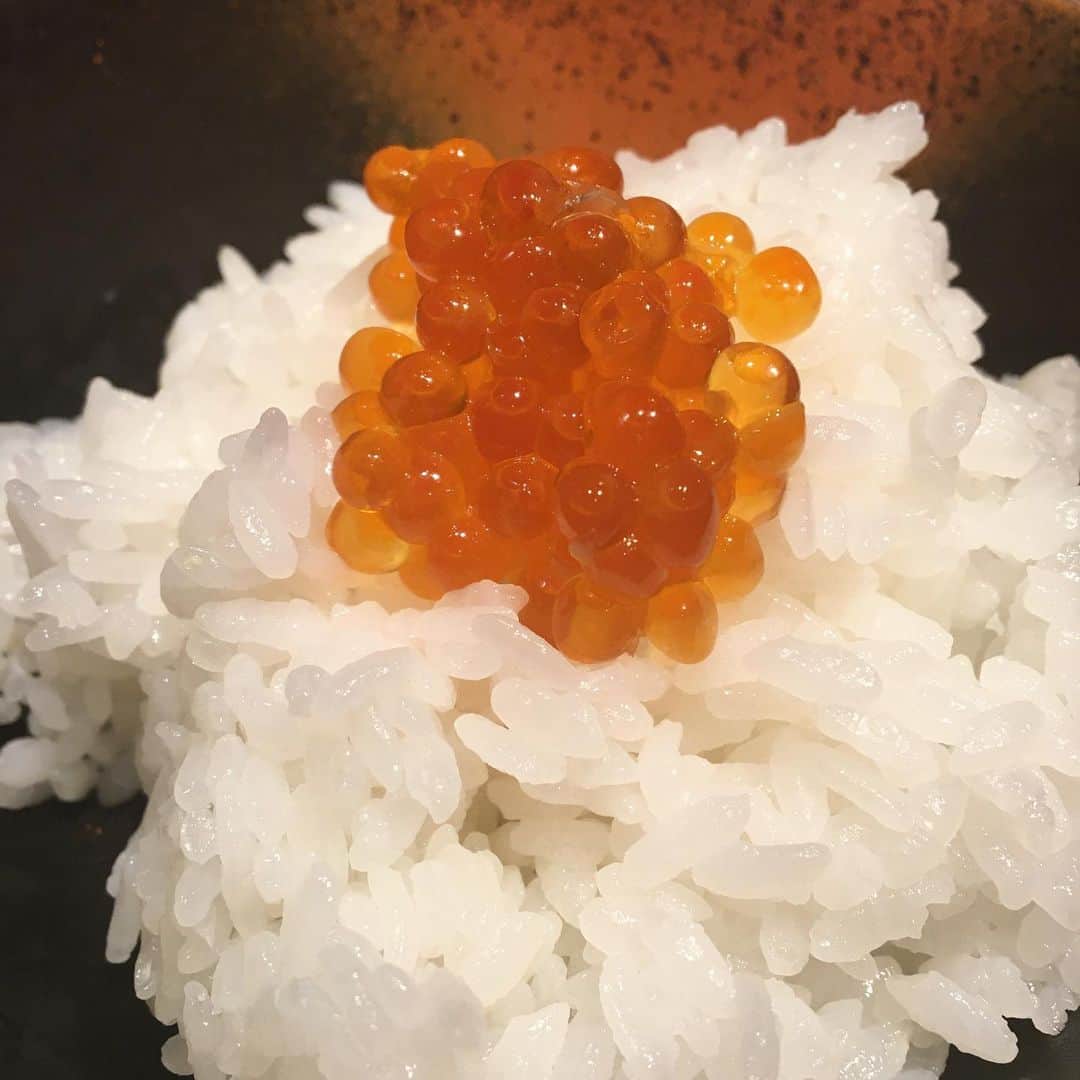 千眼美子さんのインスタグラム写真 - (千眼美子Instagram)「・ おはよ〜。 あなたはだんだん 白米が食べたくな〜る 食べたくな〜る with いくら。 🔴🔴🔴 #白米 #ごはん #いくら #美味しい」1月27日 7時55分 - yoshiko_sengen