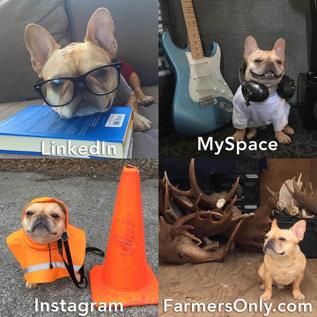 Hamlinのインスタグラム：「Hittin’ up all the social media hubs. Too bad there’s no room for my Friendster or Costco profiles. .......... #dollypartonchallenge #roadcone」