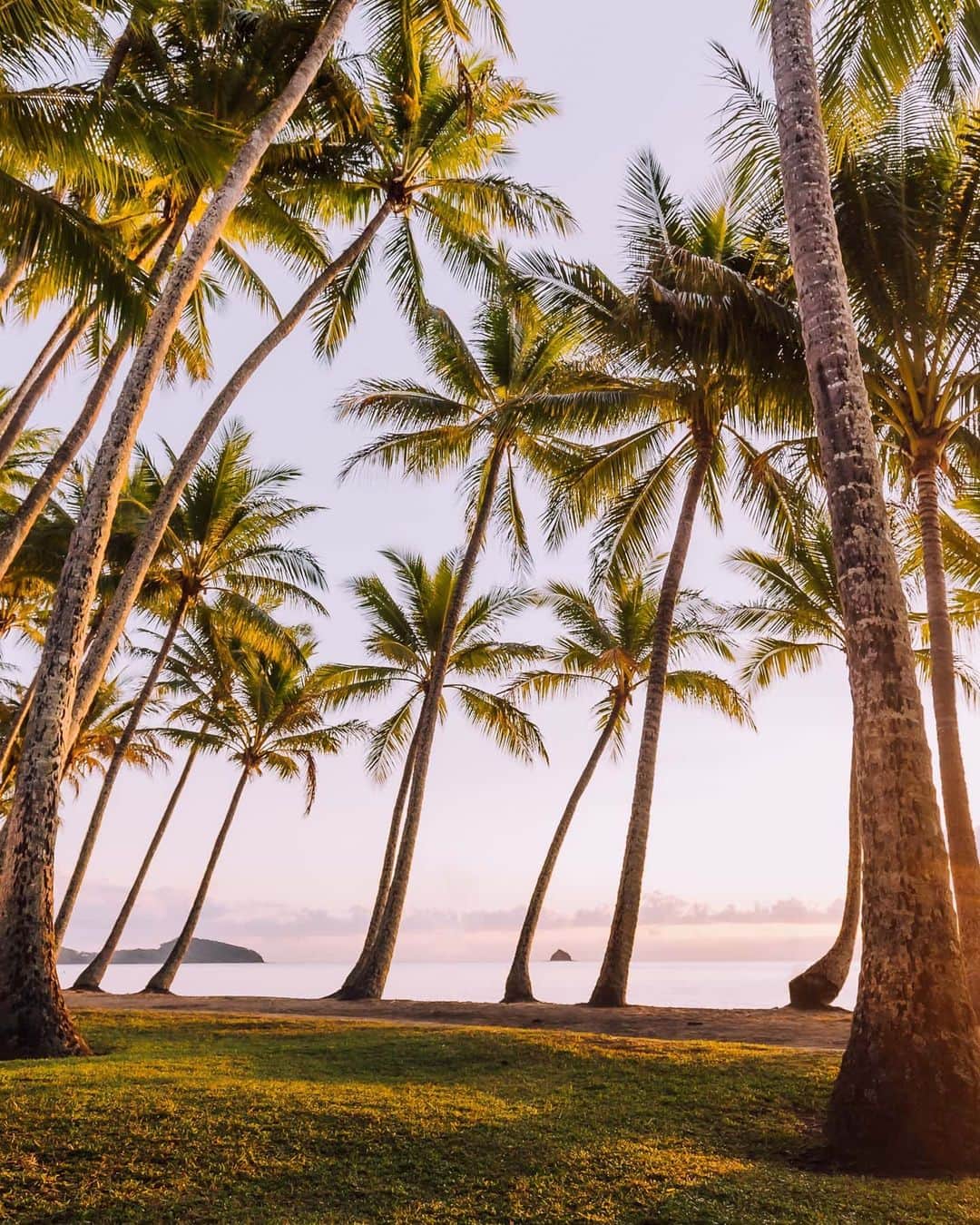 SNAPCHAT@JASONVANMIERTのインスタグラム：「Palm Cove, Queensland - swipe across to see what the full printed image looks like and head to the link in my bio to checkout all the other prints I'm selling.」