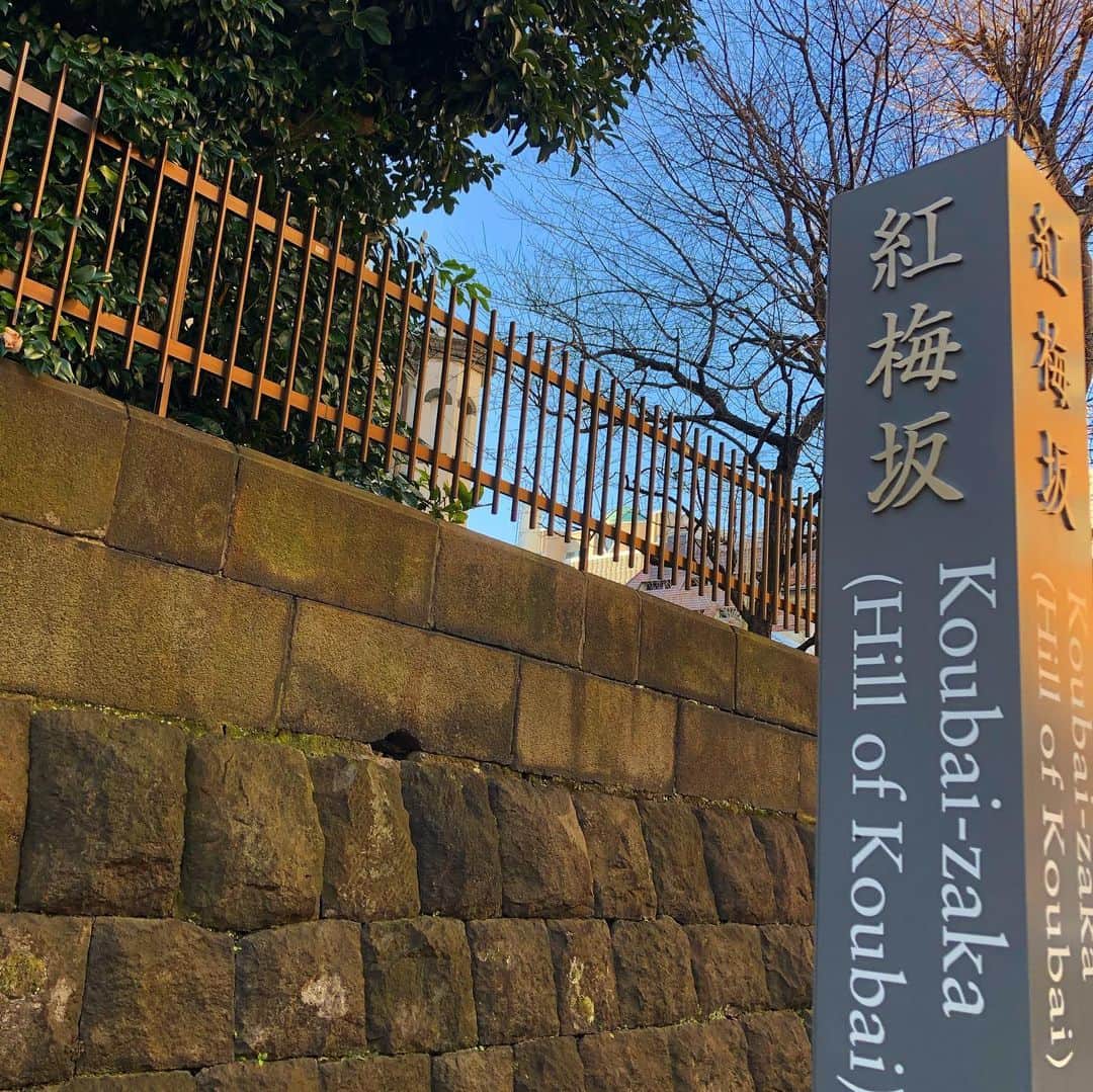 石丸幹二さんのインスタグラム写真 - (石丸幹二Instagram)「#東京探訪　#紅梅坂　東京のお茶の水にあるこの坂。近くにある　#ニコライ堂　が目に飛び込んできます。 久しぶりに歩いた坂 次は梅の季節に歩いてみたい ‪  #石丸幹二」1月27日 9時42分 - team_kanji_ishimaru