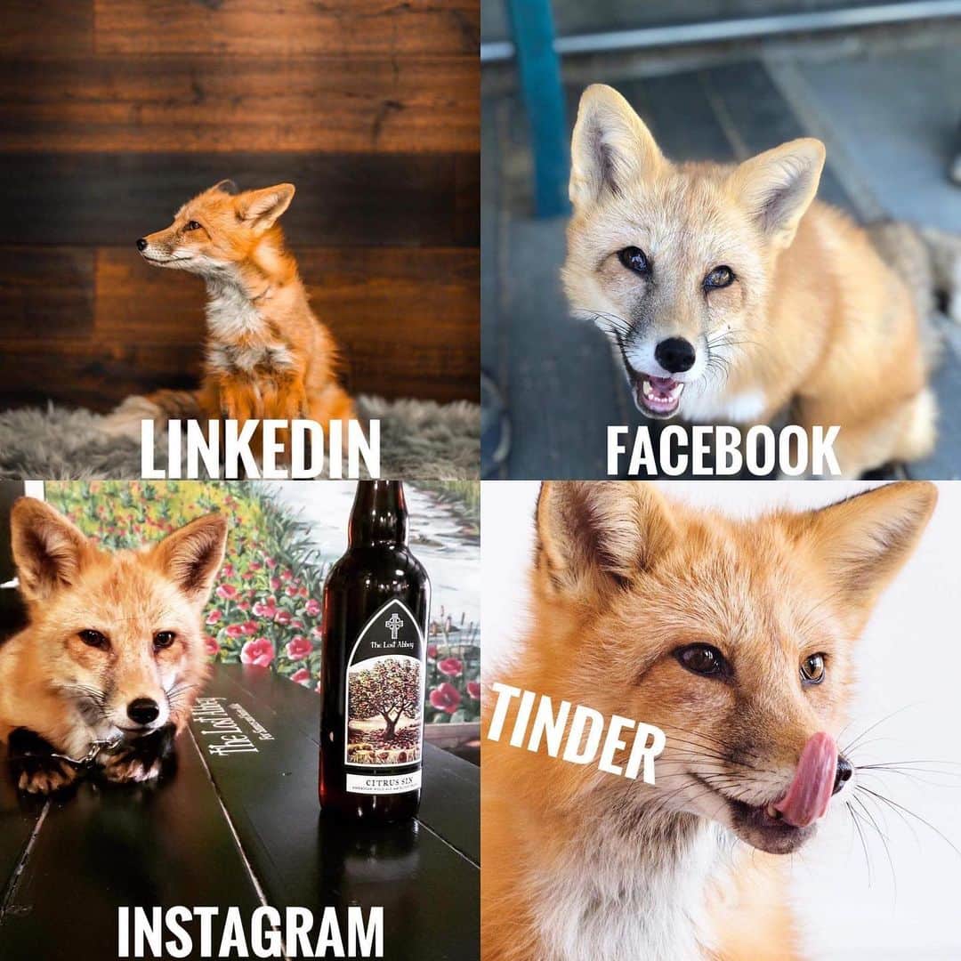 Rylaiのインスタグラム