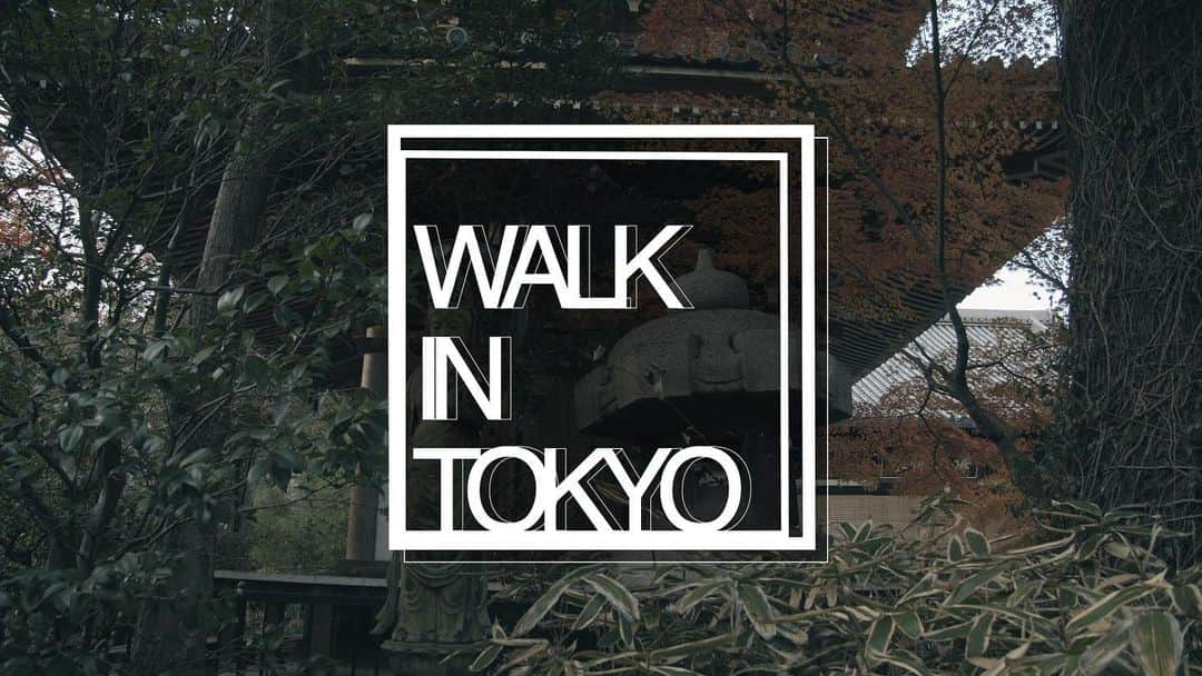 walk3000のインスタグラム