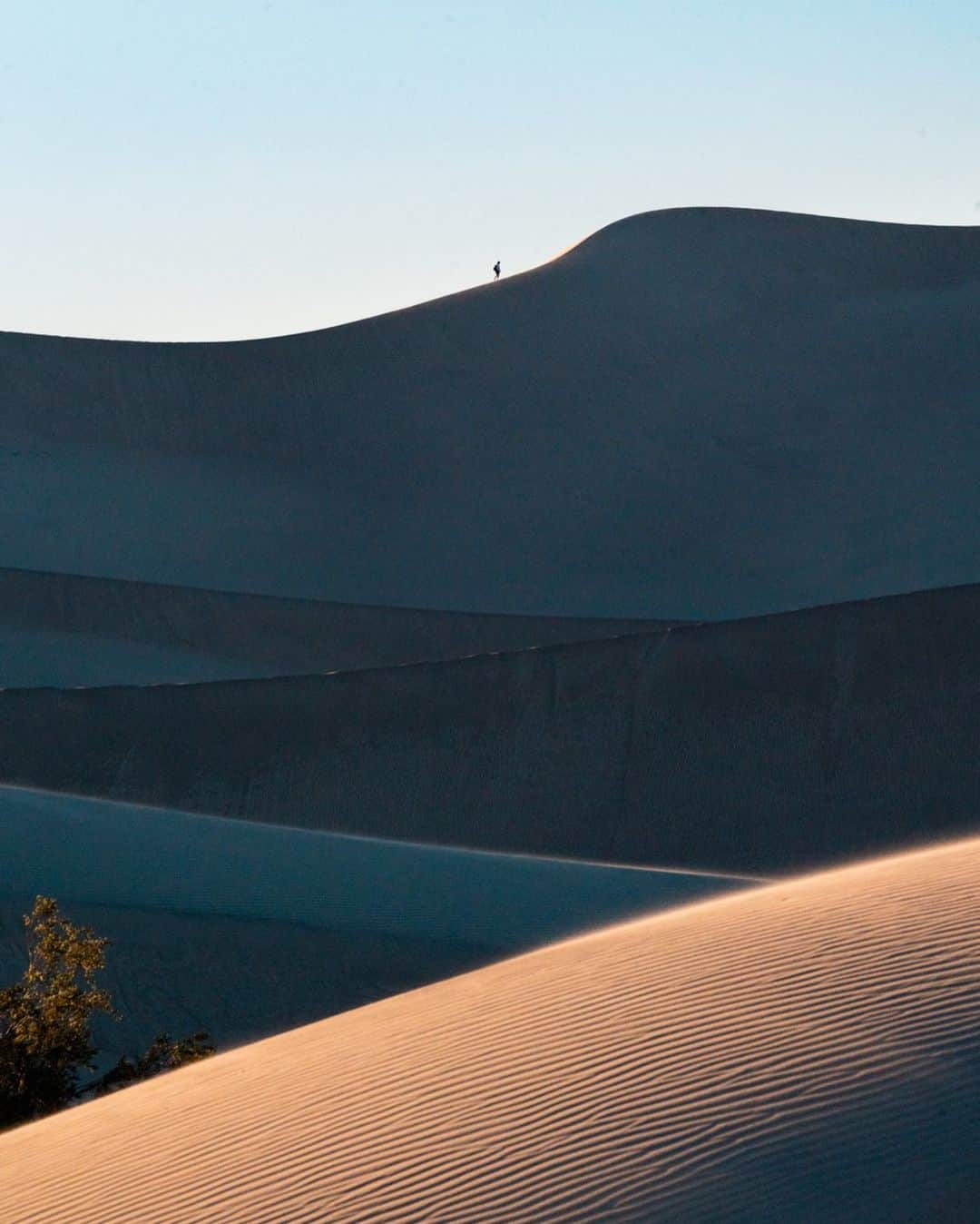 Travis Burkeさんのインスタグラム写真 - (Travis BurkeInstagram)「Golden Hour in the Dunes.  Photo Tip/BTS- My vision was to capture the scale of these dunes and draw the viewer in by using small people silhouetted in the landscape, but I was alone on this trip. I decided to run to the very far side of the dunes and use my long lens (100-400mm) to compress the dunes and use other random people as my subjects.  It was challenging but extremely fun and rewarding to try and predict their movements and run up and down the dunes to create compelling compositions, all within the short window of perfect light.  Check out my previous post to see the crazy wind storm I had here the day before and the behind the scenes of why I was probably the only one who wanted to go out and shoot in those conditions.  It’s always fun to explore new places and use different tools and techniques to capture moments and experiences. Get out there!  Location- Mesquite Flat Sand Dunes, Death Valley National Park.  #deathvalley #bts #nationalpark」1月27日 10時56分 - travisburkephotography