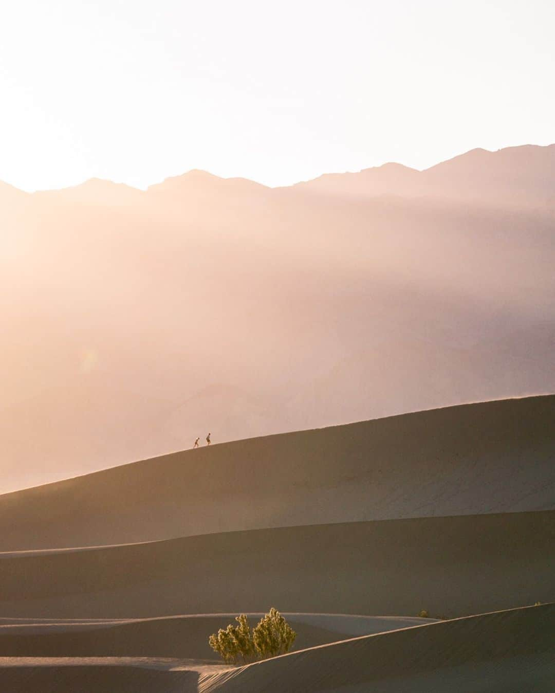 Travis Burkeさんのインスタグラム写真 - (Travis BurkeInstagram)「Golden Hour in the Dunes.  Photo Tip/BTS- My vision was to capture the scale of these dunes and draw the viewer in by using small people silhouetted in the landscape, but I was alone on this trip. I decided to run to the very far side of the dunes and use my long lens (100-400mm) to compress the dunes and use other random people as my subjects.  It was challenging but extremely fun and rewarding to try and predict their movements and run up and down the dunes to create compelling compositions, all within the short window of perfect light.  Check out my previous post to see the crazy wind storm I had here the day before and the behind the scenes of why I was probably the only one who wanted to go out and shoot in those conditions.  It’s always fun to explore new places and use different tools and techniques to capture moments and experiences. Get out there!  Location- Mesquite Flat Sand Dunes, Death Valley National Park.  #deathvalley #bts #nationalpark」1月27日 10時56分 - travisburkephotography