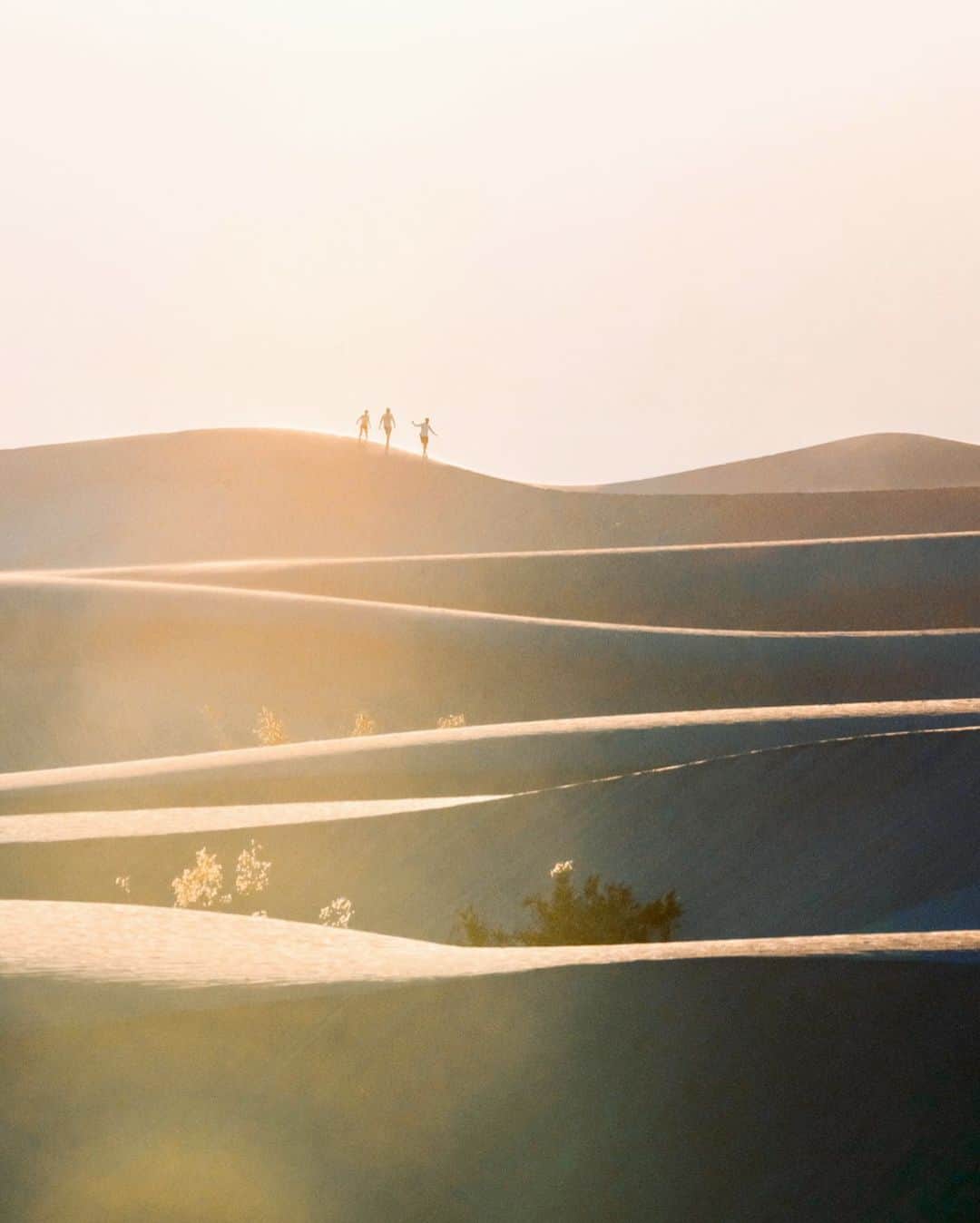 Travis Burkeのインスタグラム：「Golden Hour in the Dunes.  Photo Tip/BTS- My vision was to capture the scale of these dunes and draw the viewer in by using small people silhouetted in the landscape, but I was alone on this trip. I decided to run to the very far side of the dunes and use my long lens (100-400mm) to compress the dunes and use other random people as my subjects.  It was challenging but extremely fun and rewarding to try and predict their movements and run up and down the dunes to create compelling compositions, all within the short window of perfect light.  Check out my previous post to see the crazy wind storm I had here the day before and the behind the scenes of why I was probably the only one who wanted to go out and shoot in those conditions.  It’s always fun to explore new places and use different tools and techniques to capture moments and experiences. Get out there!  Location- Mesquite Flat Sand Dunes, Death Valley National Park.  #deathvalley #bts #nationalpark」