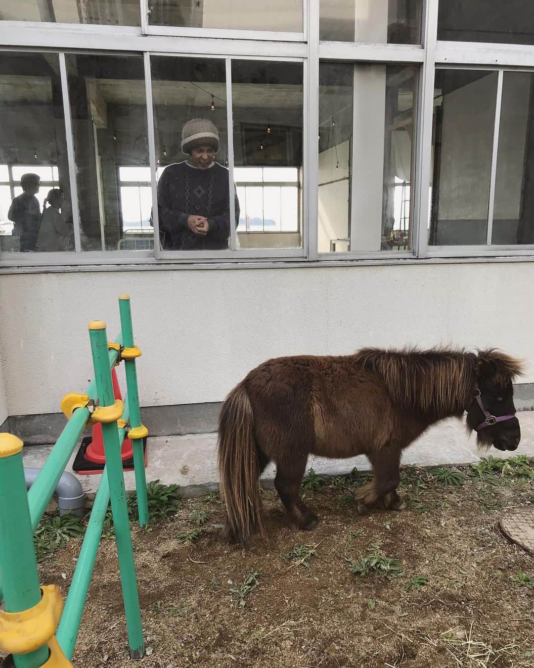 松本野々歩さんのインスタグラム写真 - (松本野々歩Instagram)「松江から 岡山県瀬戸内市牛窓町へ  長い付き合いになる友 カメラマンの相澤心也 ものづくりのおだせいこが移住して 仲間たちとはじめた小さなお城 「牛窓テレモーク」 @ushimado.tepemok  で チリンとドロンのコンサートと 岡山各地から来てくれた出店者さんの市庭  2ステージ　たくさんの方が来てくれました！ ・ ・ ずっと近くてにいて 一緒にイベントや空間や物を作ってきた　おだせいこ @osoco が わたしの知らない場所に あたたかく迎え入れてくれる なんだか不思議だった  ずっとずっと　牛窓の海みたいに ゆったり静かで美しく とてもとても　あたたかくて楽しい時間  しあわせでした  再会　新たな出逢い　 何時間もかけて会いにきてくれた人たち  また会いたい　すぐ会いたい」1月27日 11時32分 - nonohoms