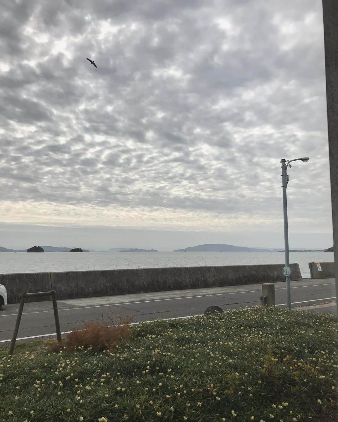 松本野々歩さんのインスタグラム写真 - (松本野々歩Instagram)「松江から 岡山県瀬戸内市牛窓町へ  長い付き合いになる友 カメラマンの相澤心也 ものづくりのおだせいこが移住して 仲間たちとはじめた小さなお城 「牛窓テレモーク」 @ushimado.tepemok  で チリンとドロンのコンサートと 岡山各地から来てくれた出店者さんの市庭  2ステージ　たくさんの方が来てくれました！ ・ ・ ずっと近くてにいて 一緒にイベントや空間や物を作ってきた　おだせいこ @osoco が わたしの知らない場所に あたたかく迎え入れてくれる なんだか不思議だった  ずっとずっと　牛窓の海みたいに ゆったり静かで美しく とてもとても　あたたかくて楽しい時間  しあわせでした  再会　新たな出逢い　 何時間もかけて会いにきてくれた人たち  また会いたい　すぐ会いたい」1月27日 11時32分 - nonohoms