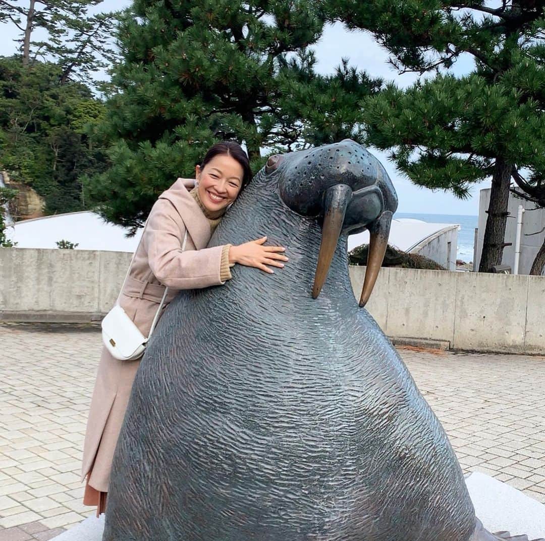 のインスタグラム：「今週木曜２２：５４分〜の「空旅をあなたへ」は、 番組ナレーターも務める、女優・羽田美智子さんの兵庫県 城崎への空旅です✈️✨ 風光明媚な景勝地・城崎。  日本海の美しい冬景色が、旅人を迎えます🌊  今回は、ちょっと足をのばして「城崎マリンワールド」へ☺️ 海の生き物たちと一緒に遊べる アトラクションが旅人を魅了します。  イルカを間近に感じるドルフィンタッチや🐬、 人気のフィッシュダンスに羽田さんもびっくり！🥺✨ まるで海の中にいるような 非日常の世界に心が躍ります⭐️ 豊かな自然に満たされる、城崎の空旅です！ 是非ご覧ください！  #フジテレビ  #空旅  #空旅をあなたへ ‪#soratabi‬ ‪#羽田美智子 さん‬ #城崎温泉  #兵庫県  #豊岡市  #城崎マリンワールド」