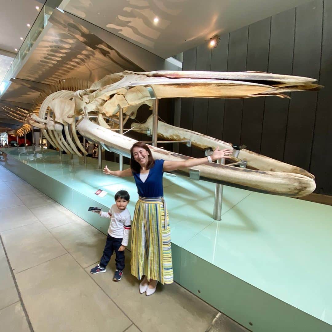 杉山愛さんのインスタグラム写真 - (杉山愛Instagram)「仕事が夕方からなので🎾 午前中はメルボルン博物館へ🦖🦕 恐竜🦖🦕 虫🦎🐍🕷 動物🦏🐅🦍 海の生き物🐋🦑🐠 全て網羅していて🤭 それはそれは充実しておりました👀  朝から沢山刺激を受けてきたよ✨」1月27日 13時11分 - aisugiyamaofficial