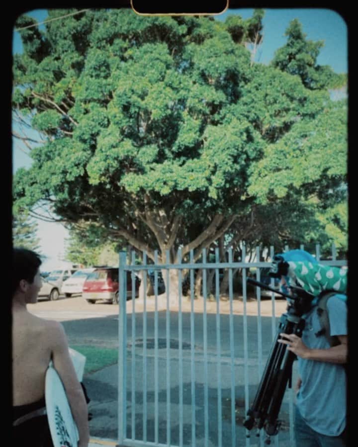 のインスタグラム：「gate opens while looking at #broccoli #tree」
