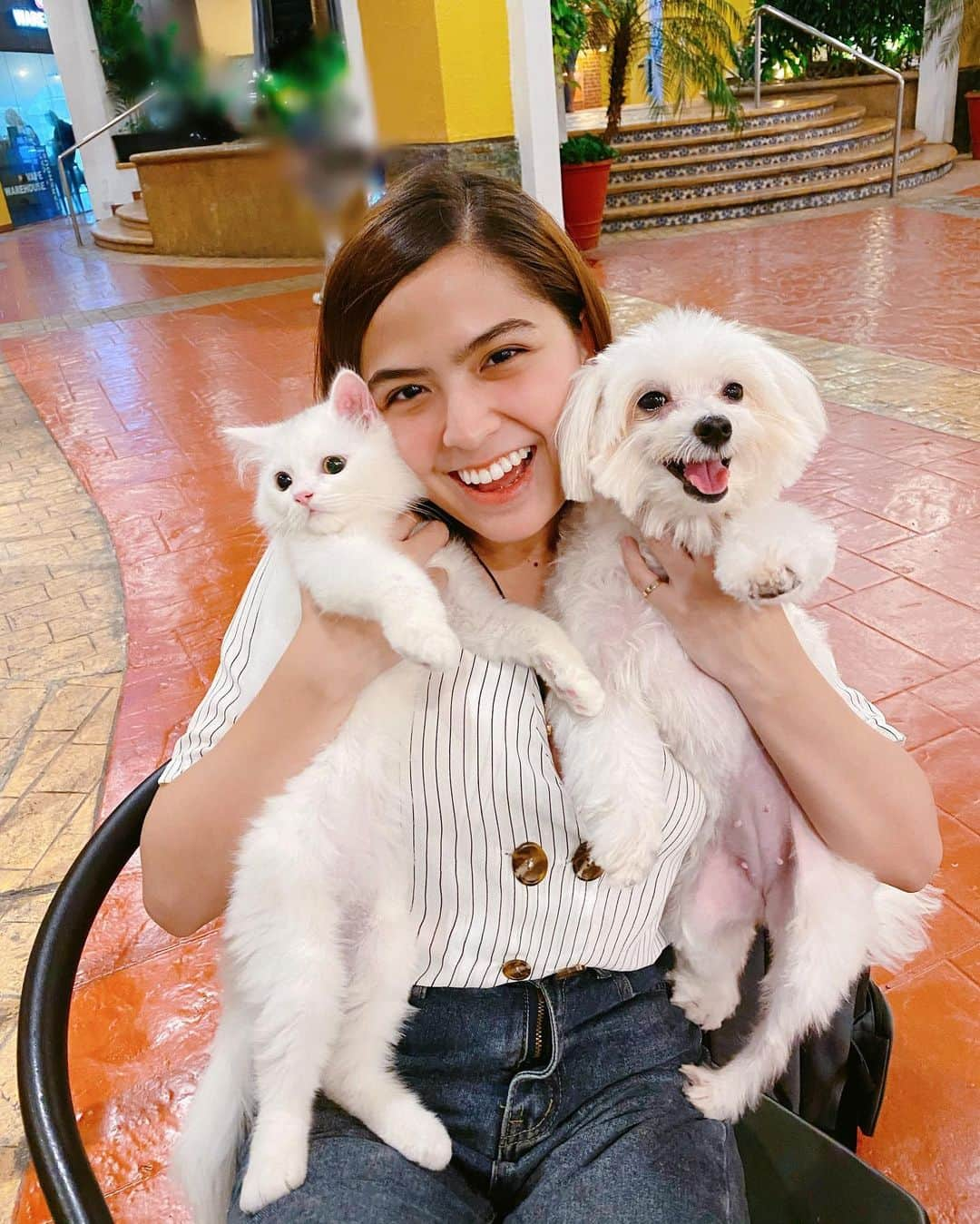 Alexa Ilacadさんのインスタグラム写真 - (Alexa IlacadInstagram)「The road to my heart is paved with paw prints 🐾💕 @blushclues @chillthepersian . Thank you for keeping my babies fresh & clean always, @dogsandthecityph! I’m so glad Dogs & The City’s products are now available on Lazada. I can now buy my furbabies needs without the leaving the house. 😊 https://www.lazada.com.ph/shop/dogs-and-the-city/」2月25日 17時23分 - alexailacad