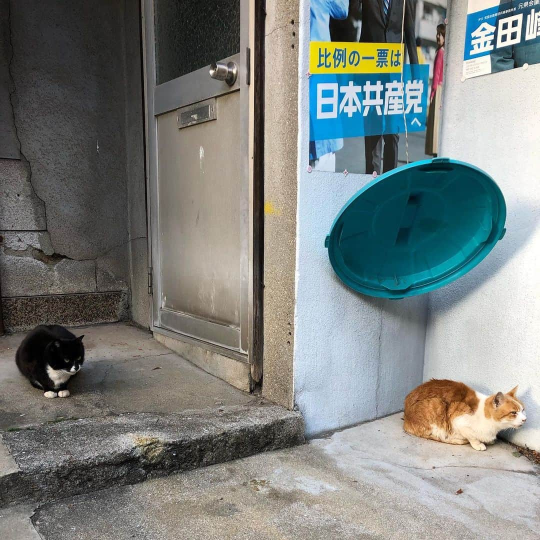 能町みね子さんのインスタグラム写真 - (能町みね子Instagram)「神戸の湊川あたりのいろんなところ」2月25日 17時24分 - nmcmnc