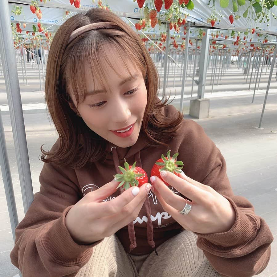 斉藤真木子さんのインスタグラム写真 - (斉藤真木子Instagram)「みなさんイチゴがお好きみたいで…☺︎🍓♡」2月25日 17時30分 - saitomakiko628