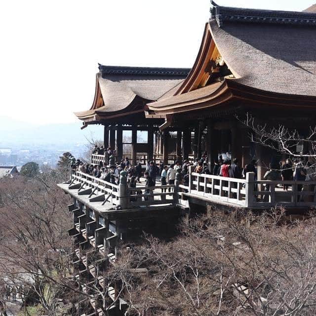 Wabi•Sabiのインスタグラム：「The job of renovating the Kiyomizu-dera Temple is almost complete.  After three years, you finally are able to go into the whole wooden stage offers an outstanding panoramic view of the city. There still are a few tourists to visit so it's a best timing to feel the Japanese popular expression "to jump off the stage at Kiyomizu." Why don't you try it? A must-see while you are in Kyoto!  #kiyomizudera #japanesetea #tea #teatime #teatime🍵 #senchatea #sencha #kyototrip #kyoto」