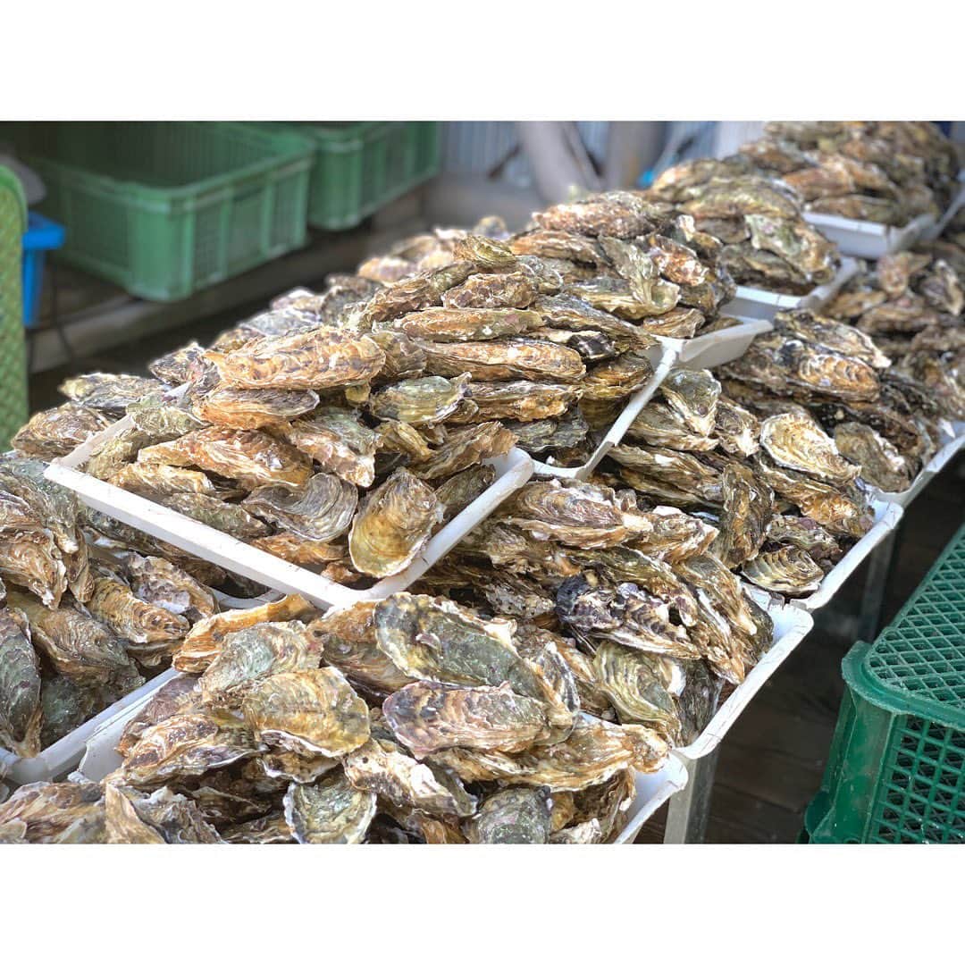 土井地恵理子のグルメインスタ