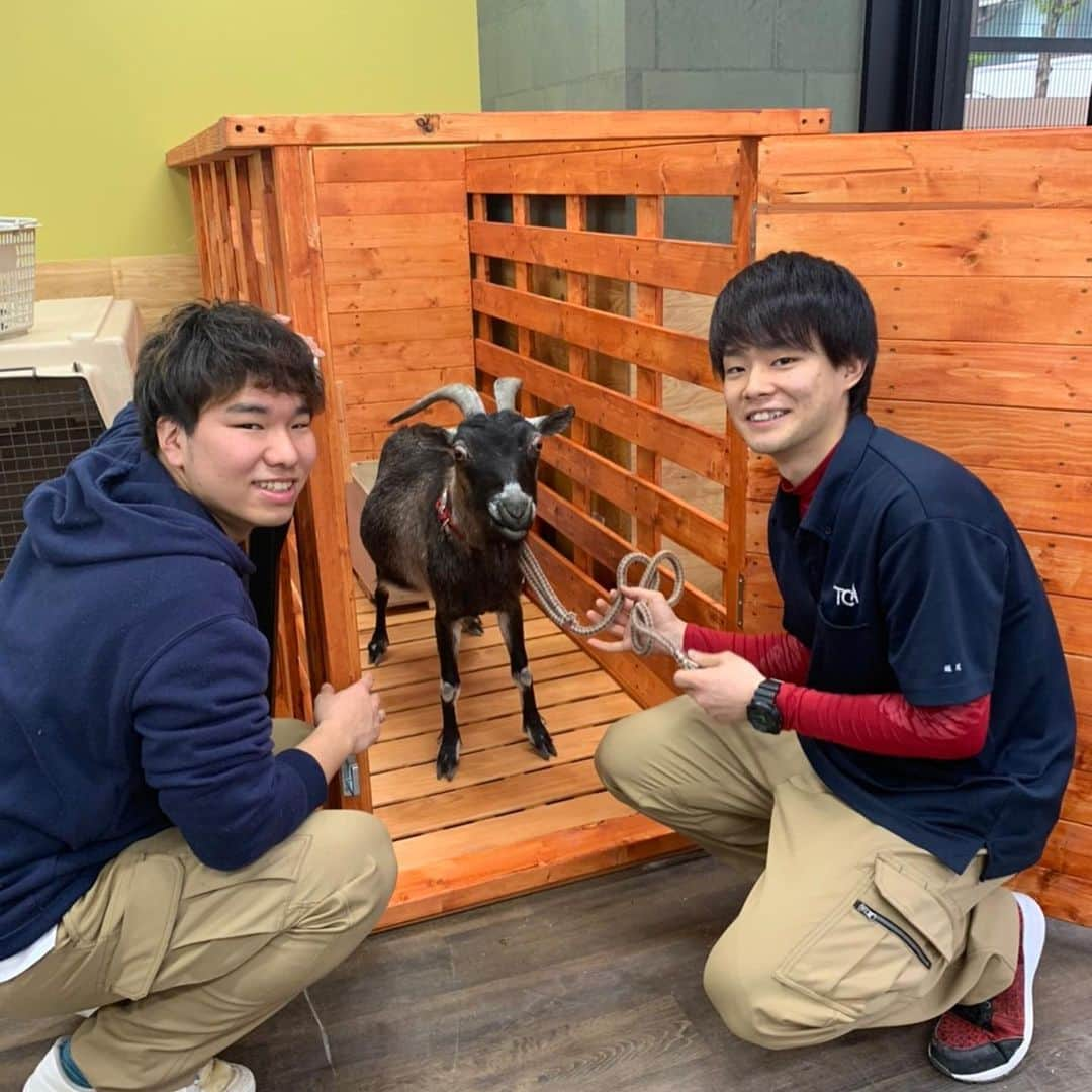 【公式】東京コミュニケーションアート専門学校ECOのインスタグラム