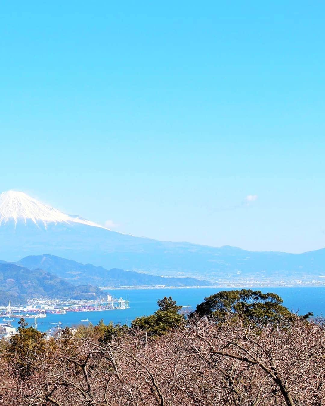 旅行比較サイト・トラベルコ 理想の旅を、いちばん安く。さんのインスタグラム写真 - (旅行比較サイト・トラベルコ 理想の旅を、いちばん安く。Instagram)「#スワイプしてね ⏩ ﻿ ＼#早咲きの桜 と #富士山 の競演🌸🗻／ ﻿ ここは #静岡、 #日本平 。かつて #日本観光地百選 で1位を獲得したこともある景勝地へ、2.23（#富士山の日）に行ってきました🚅🚌﻿ ﻿ 前日の大雨が嘘のように晴れ、澄みきった青空と雪化粧とのコントラストがまぶしいほど。さすが #霊峰、その堂々とした姿にパワーをもらえた気がします。﻿ ﻿ 日本平には、ファミリーでにぎわう #日本平動物園 やドラマ『#華麗なる一族』のロケ地になったことでも有名な #日本平ホテル、#久能山東照宮 までを結ぶ #日本平ロープウェイ、隈研吾氏が設計した展望施設 #日本平夢テラス など、名所がたくさん。日本平夢テラスの展望フロアからは、富士山×駿河湾×清水港のコラボも望めますよ📷（3・4枚目）﻿ ﻿ ただし標高300mほどの丘陵地にあるので（この日は強風でした🤧）、冬場～春先に訪れる際はしっかり着込んで行かれることをおすすめします。﻿ *﻿﻿ *﻿﻿ *﻿﻿ あなたが訪れた旅先での写真に《 @travelko_chan 》《 #トラベルコ 》《 #travelko 》とタグ付けして投稿してみてください！こちらのアカウントで紹介させていただくかもしれません♪﻿﻿ *﻿﻿ *﻿﻿ *﻿﻿ #mtfuji #mtfujijapan #桜 #cherryblossoms #国内旅行 #travel #trip #sightseeing #フォトジェニック #旅行好きな人と繋がりたい #女子旅 #一人旅 #instatravel #travelko #トラベルコ #トラベルコちゃん﻿﻿ @shizuoka_kankou」2月25日 11時59分 - travelko_official