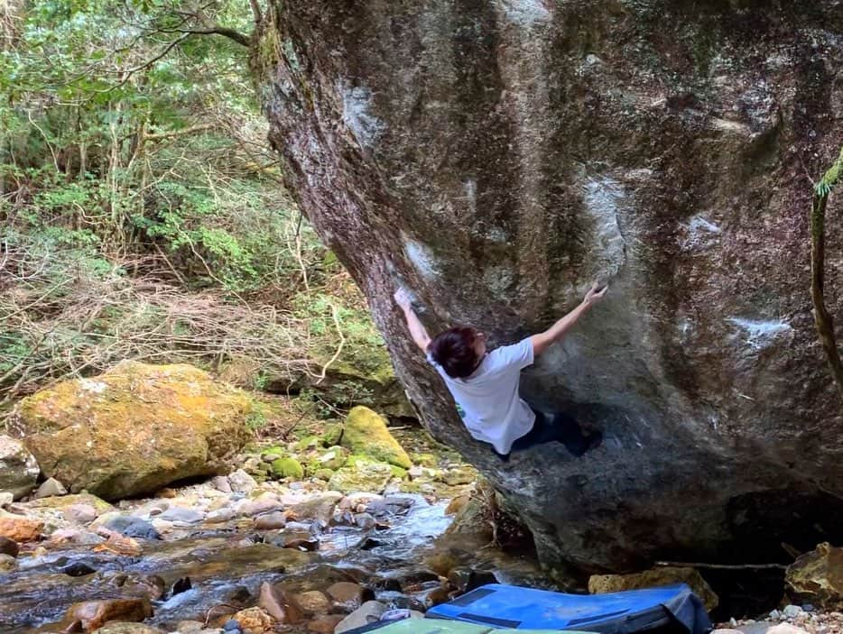 野村真一郎さんのインスタグラム写真 - (野村真一郎Instagram)「Bachelorette(8B/V13)✅ Hanayasha SD(8a+/V12)✅FLASH⚡️ ・ ・ ようやく昨日バチュラレッドが出来ました！ 白道を登るためにバリエーションと並行してトライしてましたが、どうしてもバチュラレッドパートの一本指からのデッドがずっと出来ず。。。 しばらく左手一本指のトレーニング期間を作ったおかげか、昨日久々にトライしたら今までが嘘だったかのように余裕を持ってデッドを決めることができました。  登れた時、2年前この岩に始めて来た時に感じたかなりの絶望感を思い出し、頑張れば何とかなるもんだと感動しました。  あまりに慢心してしまったので、その後白道はトライせずに花夜叉へ。  花夜叉SD、なんとフラッシュに成功できました。 こちらは二段パートも全く触ったことがなかったので、完璧なフラッシュに成功！  昨日は良い日でした。  @montura_official @monturajapan @unparallelup @rockmasterhq @hamasakichiryoin0929」2月25日 12時13分 - nomura_shinichiro