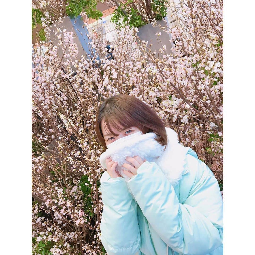 本田みくさんのインスタグラム写真 - (本田みくInstagram)「🌸」2月25日 12時28分 - hondamiku