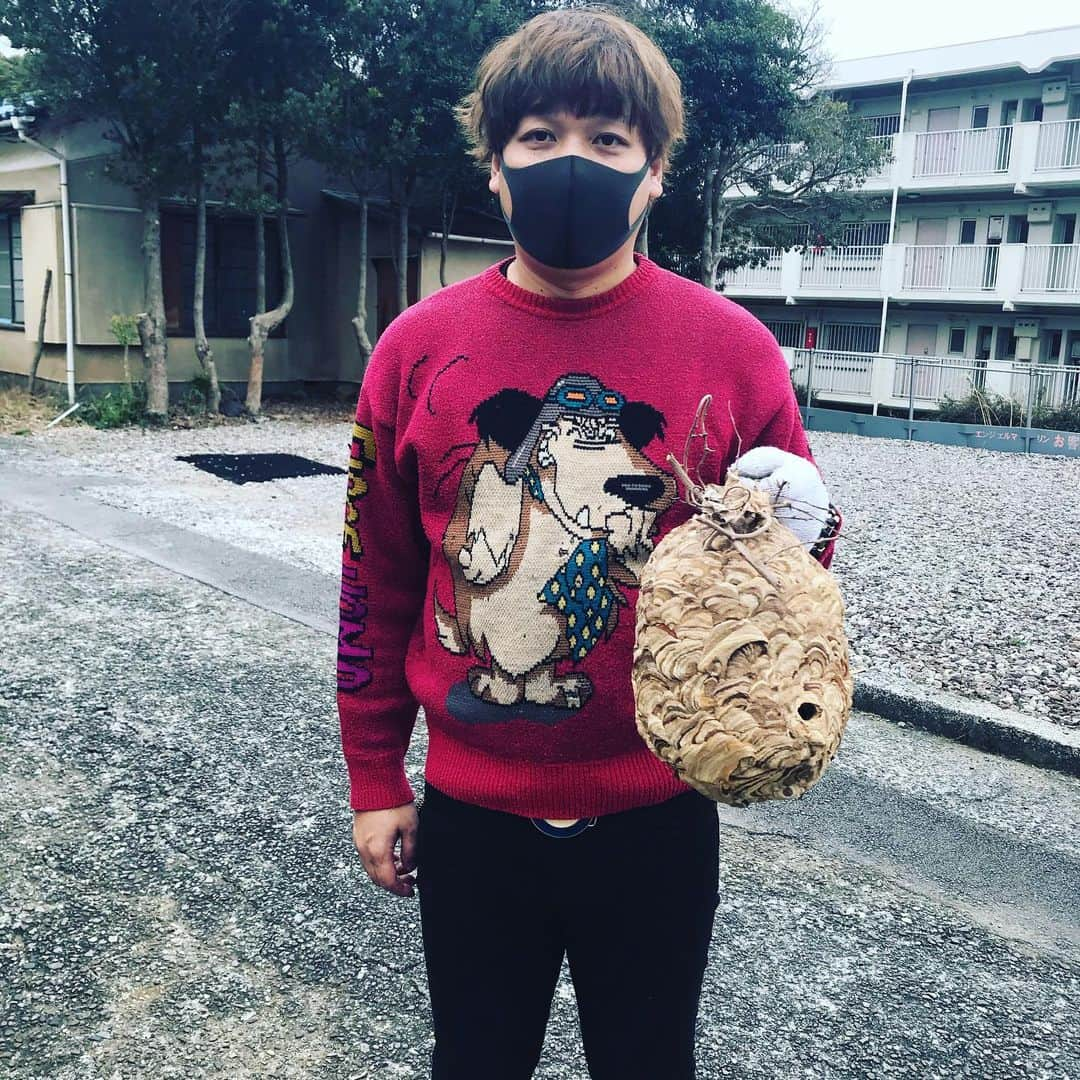 白井鉄也さんのインスタグラム写真 - (白井鉄也Instagram)「蜂の巣採ったよ！  産まれて初めて蜂の巣採ったよ！ う〜って言ってるみたいな蜂の巣採ったよ！  #蜂の巣 #honey #honeyhome #honeycomb #bee #beehome #Home #fastTime #fast #me #tbt #love #cute #instagood  #instlike」2月25日 18時10分 - shiraichimon