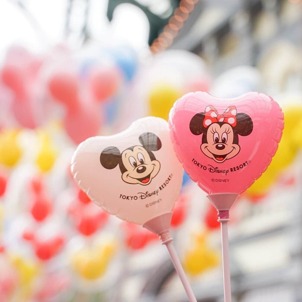 東京ディズニーリゾートさんのインスタグラム写真 - (東京ディズニーリゾートInstagram)「Where would you take your mini balloon? 持っているだけでワクワクしちゃう💕 (Photo:@yoko914_)  #worldbazaar #tokyodisneyland #balloon #mickey #minnie #ワールドバザール #東京ディズニーランド #東京ディズニーリゾート #手持ちバルーン #ミッキー #ミニー これからもゲストのみなさんの写真をご紹介します。#tokyodisneyresort などをつけて投稿してくださいね。詳しくは公式ブログでご案内しています。 https://www.tokyodisneyresort.jp/blog/151005/」2月25日 18時07分 - tokyodisneyresort_official