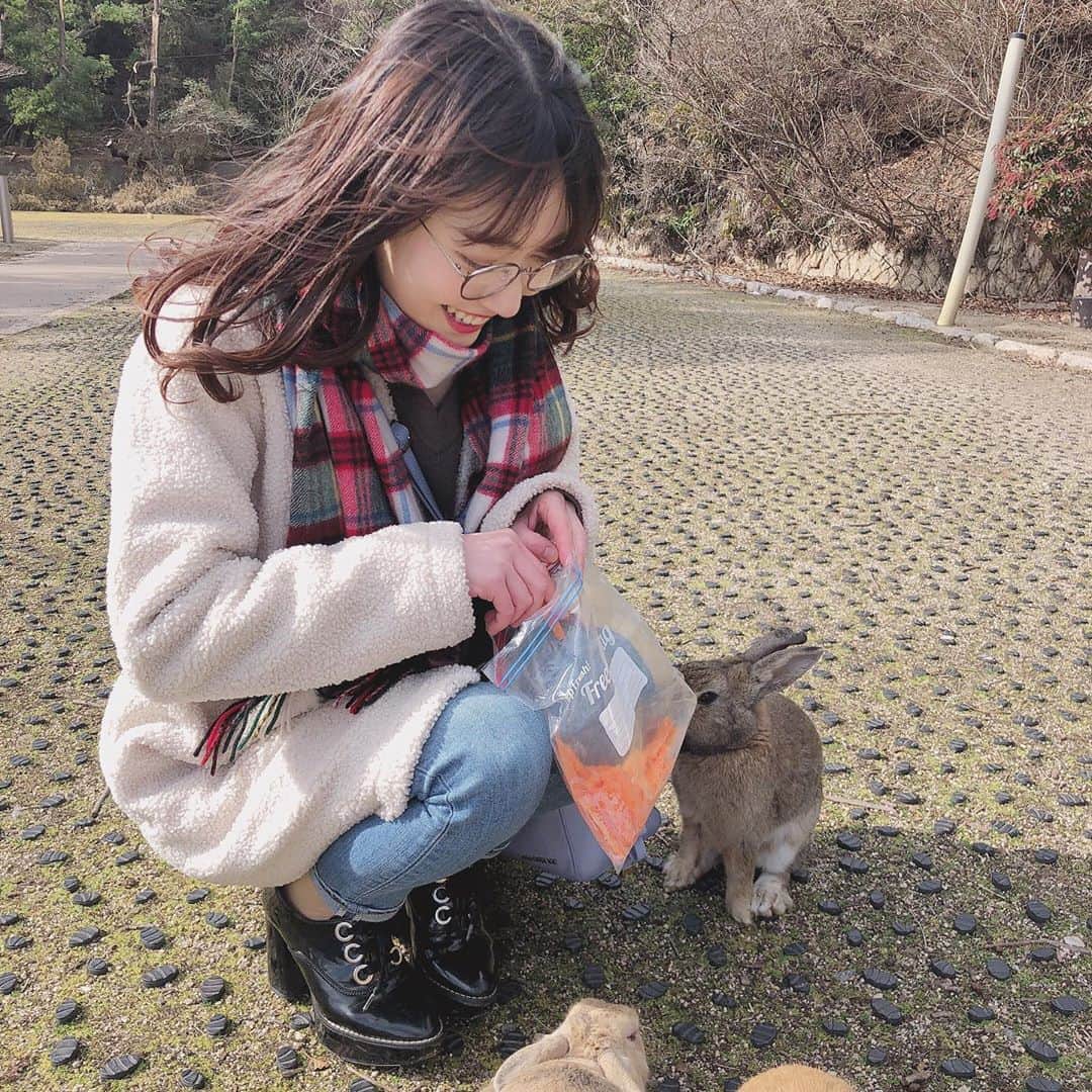 末井櫻子のインスタグラム：「🐰❤︎🐰 ． ． ． 小さな島なのに1000羽近くいるらしい🐇♡ ． ． 自分から近寄らなくても、餌を持ってたらいくらでもうさちゃんから近づいてきたよ🥕笑 ． ． 実はうさぎ苦手だったけど、大久野島に行ってかわいいと思えるようになりました😶✌︎笑 ． ． ． #さくらこの広島最高でーす 🎏 #大久野島  #竹原 #竹原観光  #うさぎ島  #広島 #広島観光」