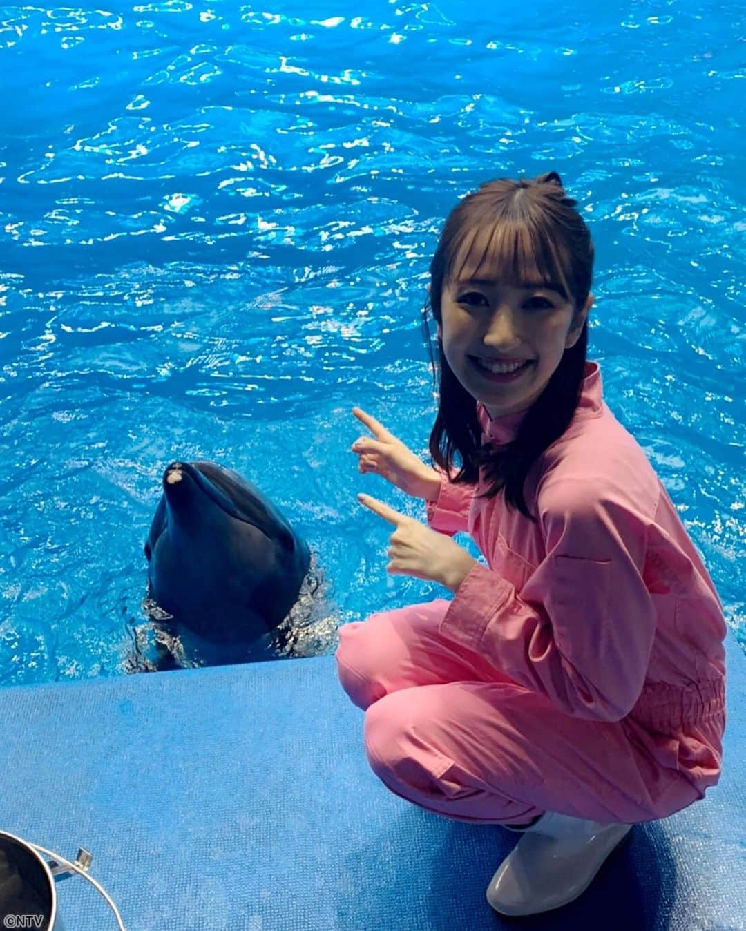 ZIP!さんのインスタグラム写真 - (ZIP!Instagram)「📡けさの生中継はアクアパーク品川から❗️ ✨🐬イルカとハルカの生パフォーマンス😁いかがでしたでしょうか❓ . #まいあさ生中継NOWニッポン #アクアパーク品川 #イルカ #團遥香 #ZIP!」2月25日 13時04分 - ntvzip