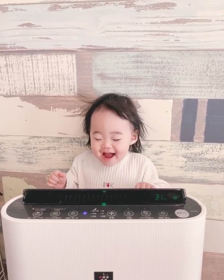 さっぴちゃんのインスタグラム：「♡. . 我が家のアイドルおでこちゃん👶🏼🎀 TMレボリューションごっこかな☺️？？(笑) . ハマるとそればっかりなのは、わたしに 似た気がする😂🙌ずーっとこれで遊んでて、 見てくれと言わんばかりに、加湿器の後ろに 回り込んだら、こちらを見つめてきて わたしが見てるのを確認したら風に当たる😂 . . 朝付け直したばかりで湿度低いのは スルーしてくださいませ𓈓(›ω‹)੭ . . そしてこの前の遊び場の続き❤︎ 1歳半くらいの子までが入れるスペースにも 小さいボールプールがあって、 そこのボール出したのに、ちゃんと お片付けしてて笑った🤣♡♡♡ . . 家でも出したい物をとりあえず出して その後しまうけど、その後また出す(笑) . 最近は、家の中をテケテケ歩くのが 楽しいみたいで、ご飯作るときとか洗い物を する時とか、そこまでぐずらないで1人で あちこち行って遊んでて、前に比べたら 少しだけ楽に感じるようになったかも☺️。 . . ………………………………(♡)……………………………… .」