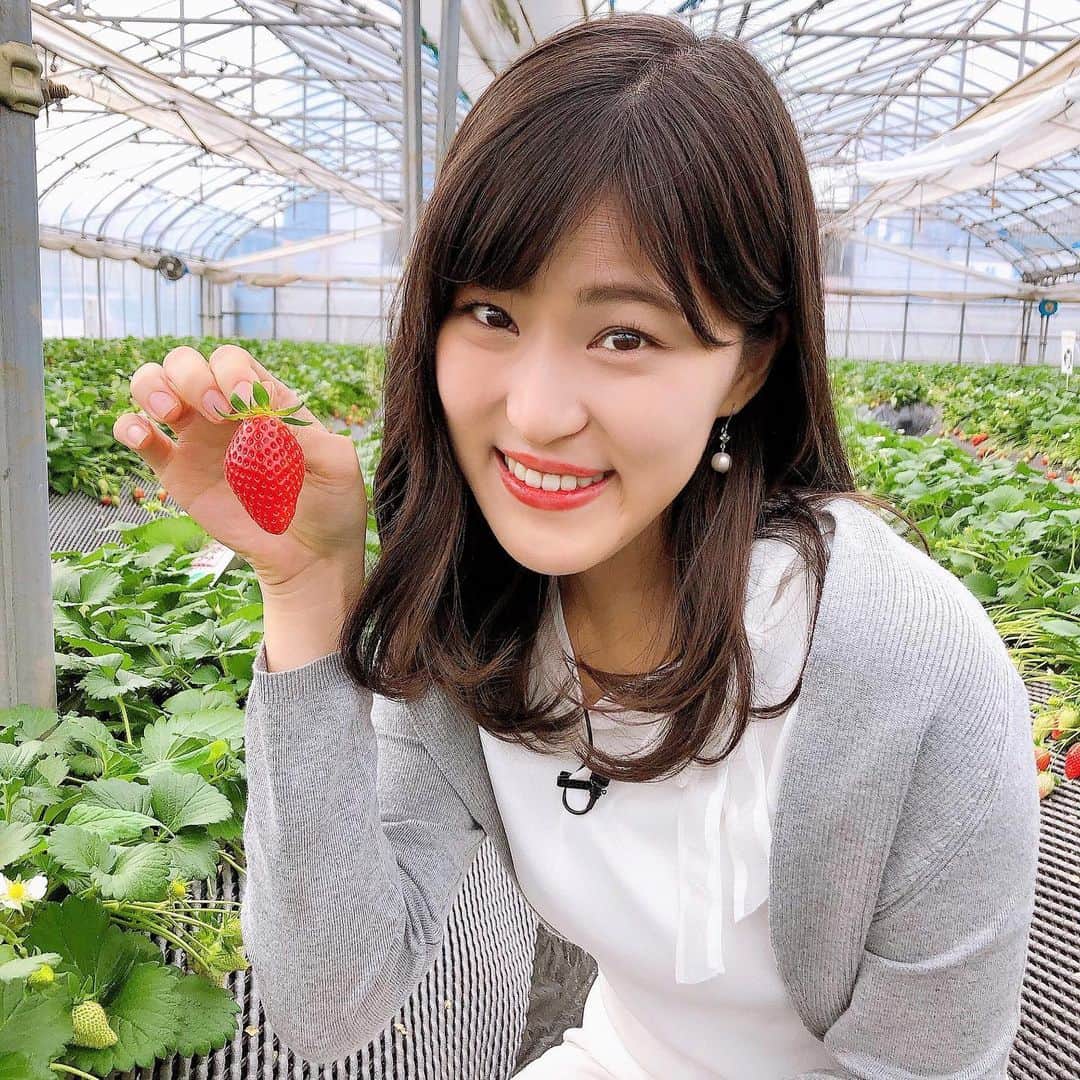 竹内里奈のインスタグラム