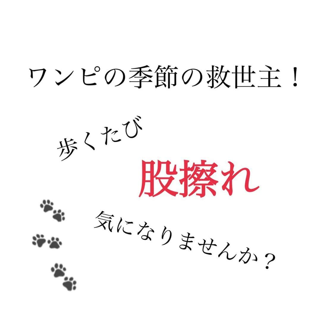 プランプのインスタグラム：「【股擦れ防止にひと役貢献！長持ちレギンス👖】 . . 春の陽気が近づくにつれ、スカートやワンピースの出番が多くなってくるこの季節🌸🌸 . 心配なのは『歩くたびに股擦れで太ももがいたくなる…』 『股擦れ防止でタイツを履くのはいいけれど、何回か履くと生地が薄くなってくる…』といった股擦れ問題。 . . plumpには丈夫な素材で縫い目を工夫した【股擦れの救世主】が✨✨ 洗濯機もOKなので、自宅で洗えて毎日使えるとっても心強いアイテムです！ . . お客様からも嬉しいお声がたくさん届いております♪ 『生地が滑らかで、暖かいです。サイズもぴったりで、気に入ってます。』 『長持ちというだけあって、しっかりしていて、履き心地もとても気持ち良かったです。追加で購入したいと思います。』 『地がしっかりしていてゴムも平ゴムでしっかりと通してあって履き心地が良かったです。』 . . 丈も8分丈と10分丈の2丈をご用意しています♪ コーデに合わせて使い分けて、春のオシャレを思いっきり楽しみませんか？ . . . ■素材について ポリエステル68%レーヨン28%ポリウレタン4%(天竺) . . ✅洗濯機OK ✅L〜6L ✅ウエスト総ゴム仕様 ✅外側に縫い目を作って、内側の縫い目をなくすことで内ももの生地擦れを軽減 ✅破れにくく長持ちする素材を使用 . . 商品の詳細はwebでご確認いただけます☺️💕 . . #plump #股擦れ #股擦れ防止 #レギンス #レギンスコーデ #ワンピース #スカート #春コーデ #スカートコーデ #ワンピコーデ #大きいサイズ #大きいサイズレディース #大きいサイズのコーデ #大きいサイズのお洒落 #plussize #plussizefashion #plussizemodels」