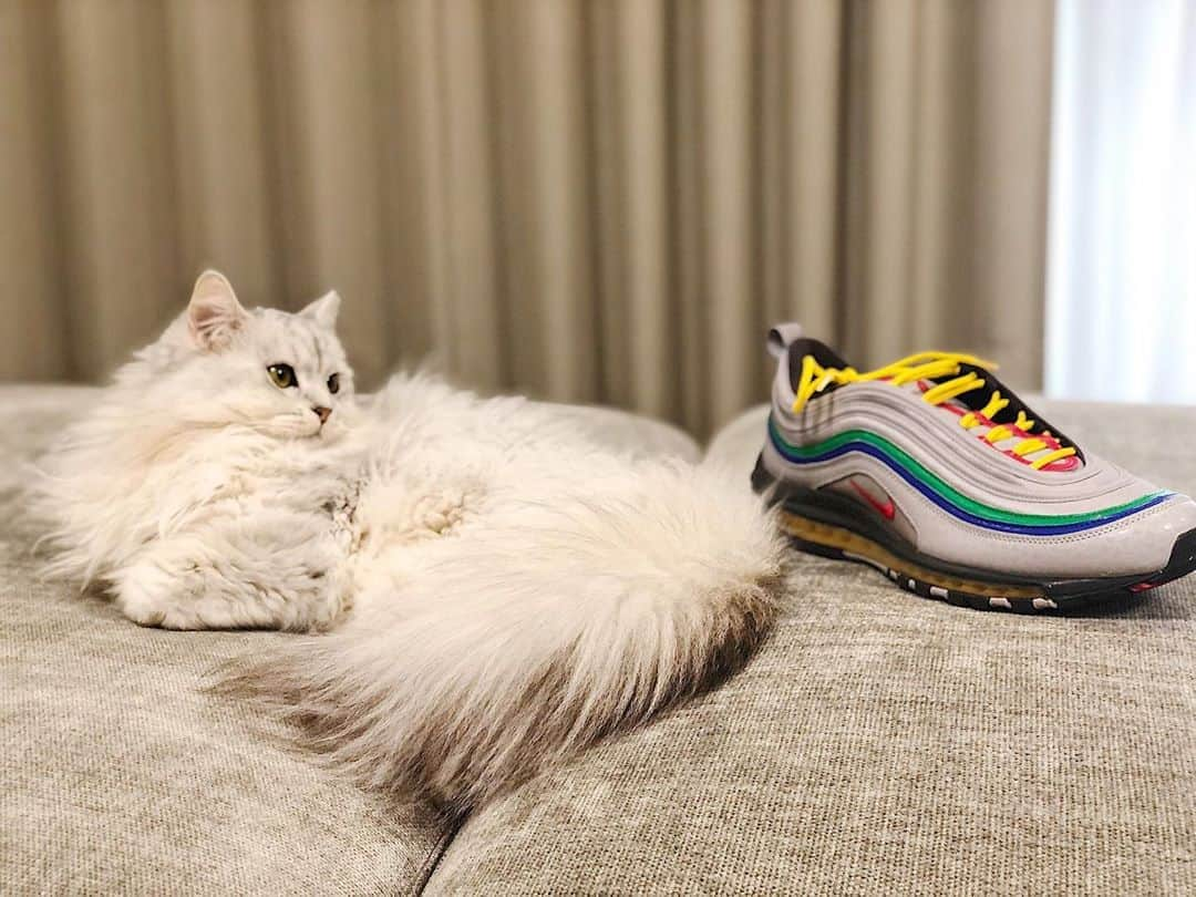 JOYさんのインスタグラム写真 - (JOYInstagram)「NIKE AIR MAX 97 NINTENDO 64😎✨﻿ 買っちまったぜ！紐はゲーム感が増すように黄色に変えた♪♪気分で色変えていこうと思う！﻿ ﻿ #nike #niutendo #niutendo64 #airmax #airmax97 #game #mario #supermario #switch #nintendoswitch #sneakers #sneakerhead  @nintendo_jp @nintendo」2月25日 14時50分 - joy.official