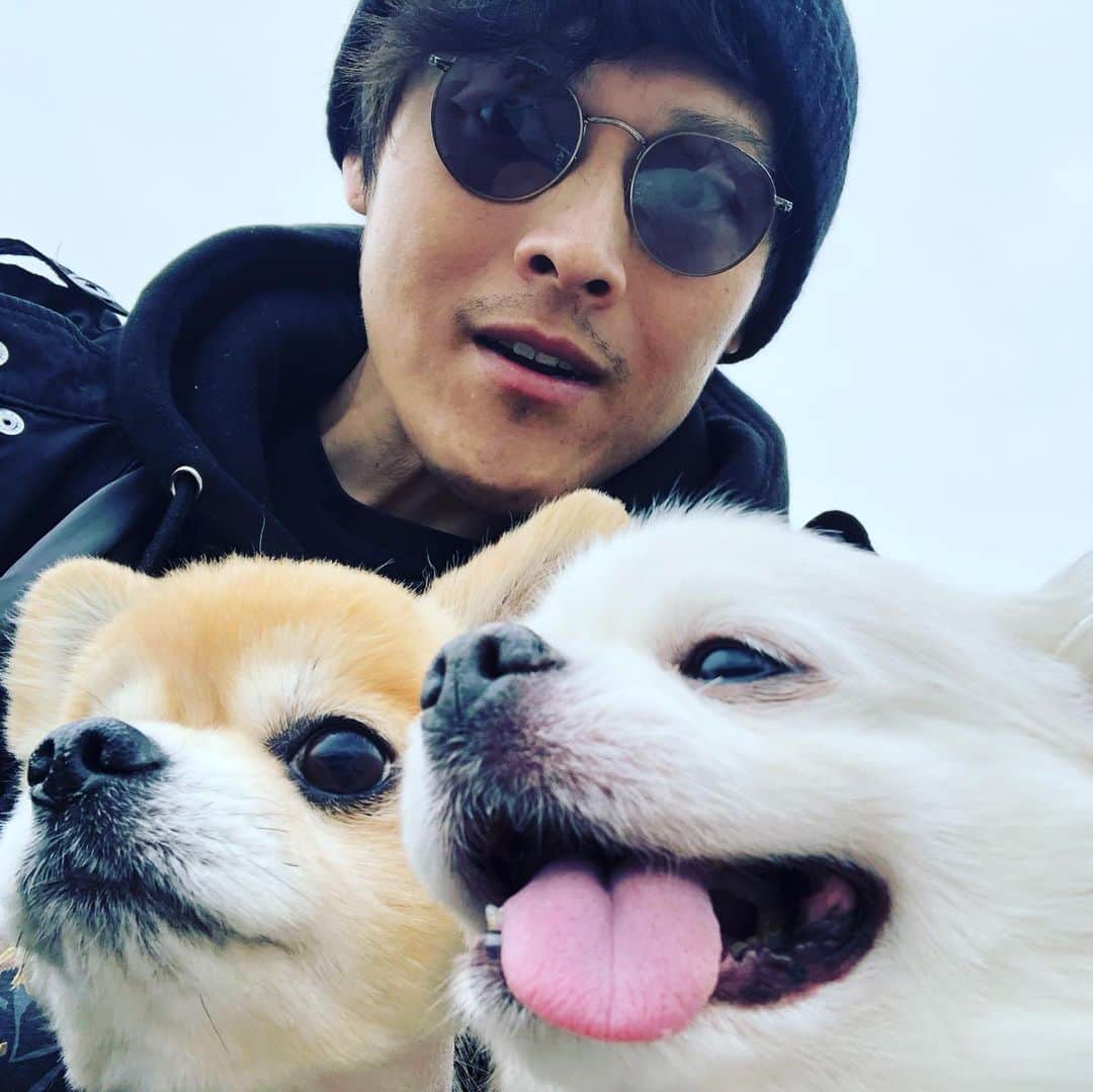 中村祐志のインスタグラム：「久々の実家にてかわい子ちゃん達と🐶  #九州 #長崎 #実家 #チワワ #chihuahua  #longcoatchihuahua  #かわいい」