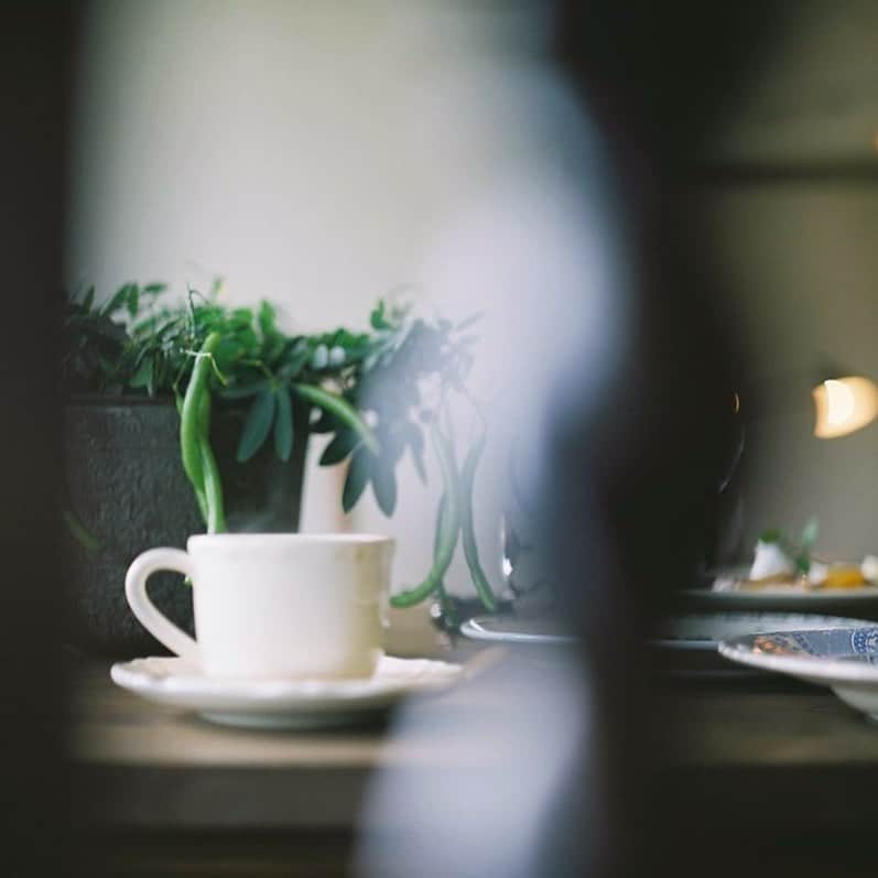 tetrrineのグルメインスタ