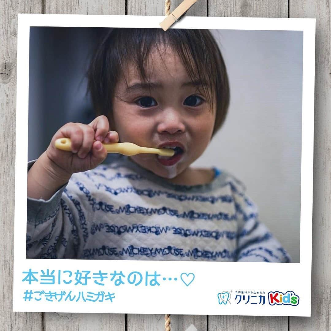 クリニカではじめよう予防歯科さんのインスタグラム写真 - (クリニカではじめよう予防歯科Instagram)「今日の#ごきげんハミガキ♪﻿ ﻿ 皆さんこんにちは♪﻿ 今日は﻿ @ryutatanifuji さんの#ごきげんハミガキ です！﻿ ﻿ カメラに熱い視線を送っているこちらのお写真📷﻿ ﻿ カメラが好きなのかな～？と思いきや、﻿ 歯みがきが大好き💓﻿ 歯みがきに一生懸命になるあまり、﻿ 口からハミガキ粉がぽたぽたしているのに﻿ 気づかないことも💦﻿ ﻿ 時には手を止めてひと休み・・・！﻿ そんなときはパパも入って仕上げ歯みがき✨﻿ ﻿ ----------------------﻿ #ごきげんハミガキ の投稿を募集中！﻿ クリニカKid’s公式アカウントでご紹介させていただきます♪﻿ ----------------------﻿ ﻿ #クリニカ #クリニカキッズ #歯磨き #歯みがき #はみがき #ハミガキ #歯みがきタイム #歯磨き中 #歯みがき習慣 #育児 #育児日記 #育児記録 #子育て #男子 #子育て記録  #子供の成長 #成長記録 #成長 #子ども #son ＃親バカ部 #親バカ日記 #子供のいる暮らし #こどものいる暮らし #ママの毎日#カメラ好き」2月25日 15時37分 - lion_clinica