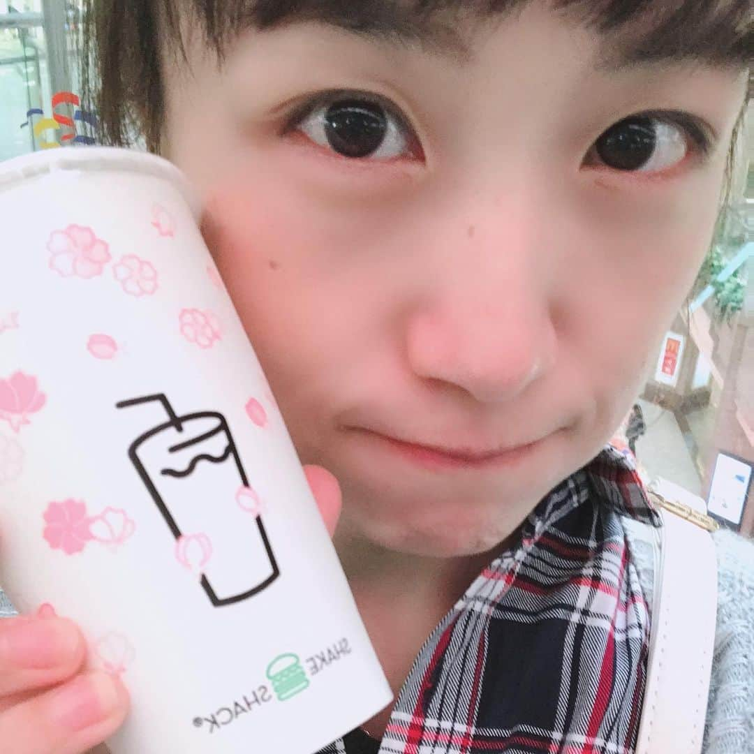 田中いちえのインスタグラム：「シャクラシェイク毎年楽しみにしてるやつ🌸楽しみにしてるくせに 始まったの忘れてて気付いたら2月も半ば…😫ってか2月前半は寒くてシェイク飲む気分になれないから3月に変えて欲しい！ 29日まであと何回飲めるかなぁ。 #田中いちえ#シェイクシャック#シャクラシェイク#2月限定」