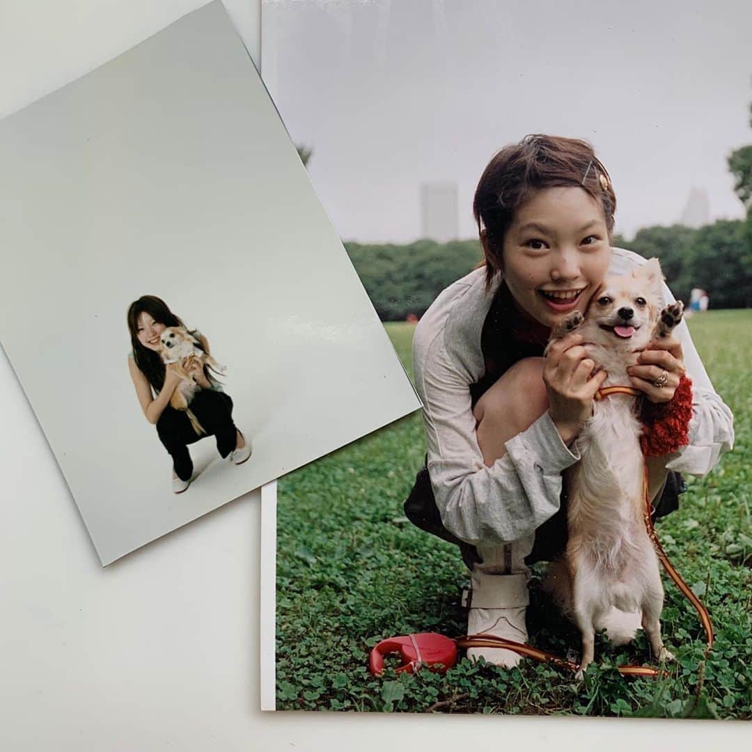 森貴美子さんのインスタグラム写真 - (森貴美子Instagram)「懐かしい写真( ˘͈ ᵕ ˘͈ ) 生まれてきてくれてありがとう💛  #チワワ　#先代犬  #また会おうね  #誕生日　#🌈」2月25日 16時11分 - morikimi_morikimi