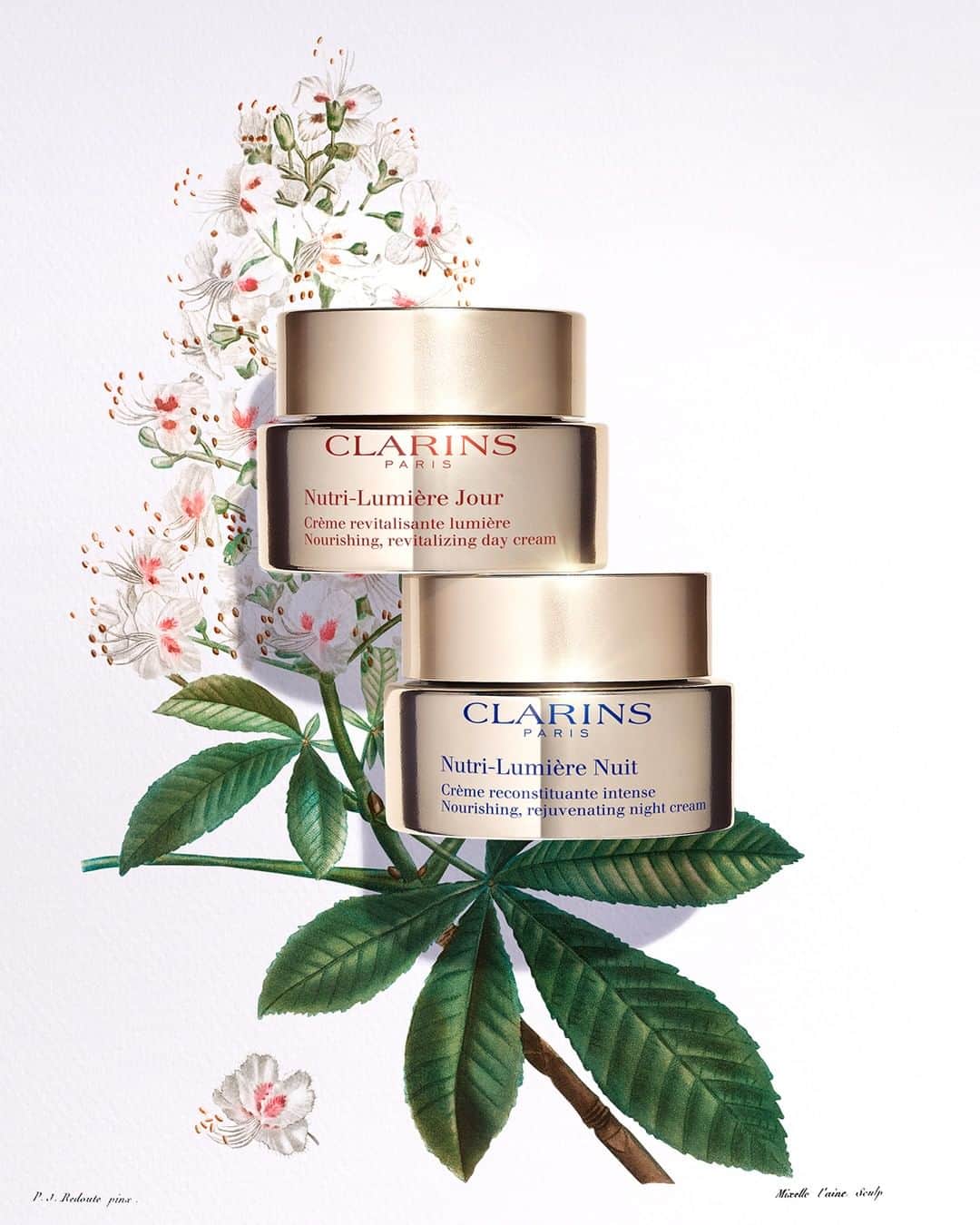 ClarinsUKさんのインスタグラム写真 - (ClarinsUKInstagram)「With time, the skin’s fullness decreases which can lead to sagging and the appearance of wrinkles. The Clarins answer?  Oat sugars have an immediate smoothing effect and the organic harungana extract, with a strong replenishing power, contributes to smoothing wrinkles and improving the skin’s density ✨  #Clarins #NutriLumiere #DayandNight # #HealthyGlow #Skincare」2月25日 16時20分 - clarinsuk